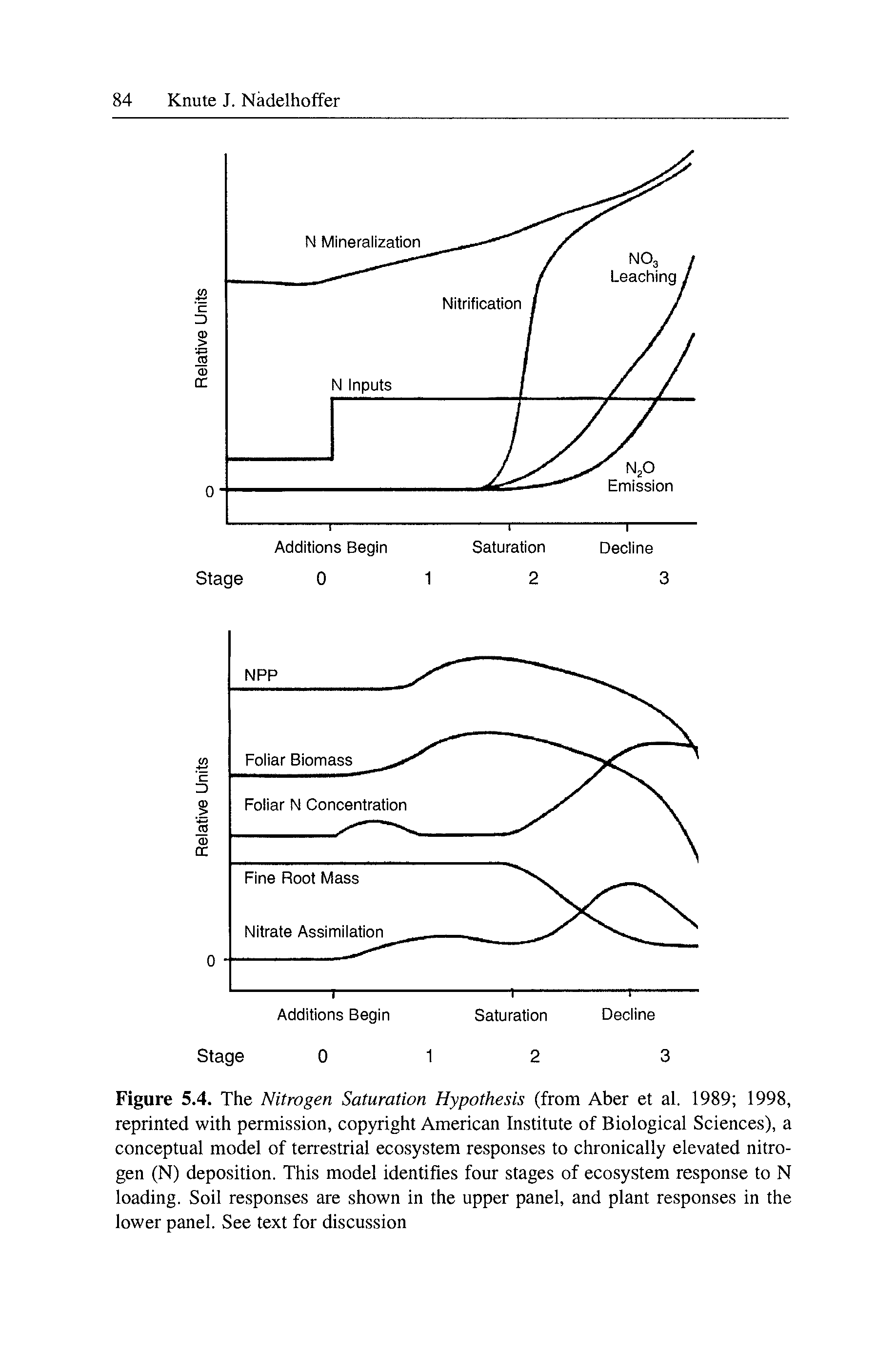Figure 5.4. The Nitrogen Saturation Hypothesis (from Aber et al. 1989 1998, reprinted with permission, copyright American Institute of Biological Sciences), a conceptual model of terrestrial ecosystem responses to chronically elevated nitrogen (N) deposition. This model identifies four stages of ecosystem response to N loading. Soil responses are shown in the upper panel, and plant responses in the lower panel. See text for discussion...