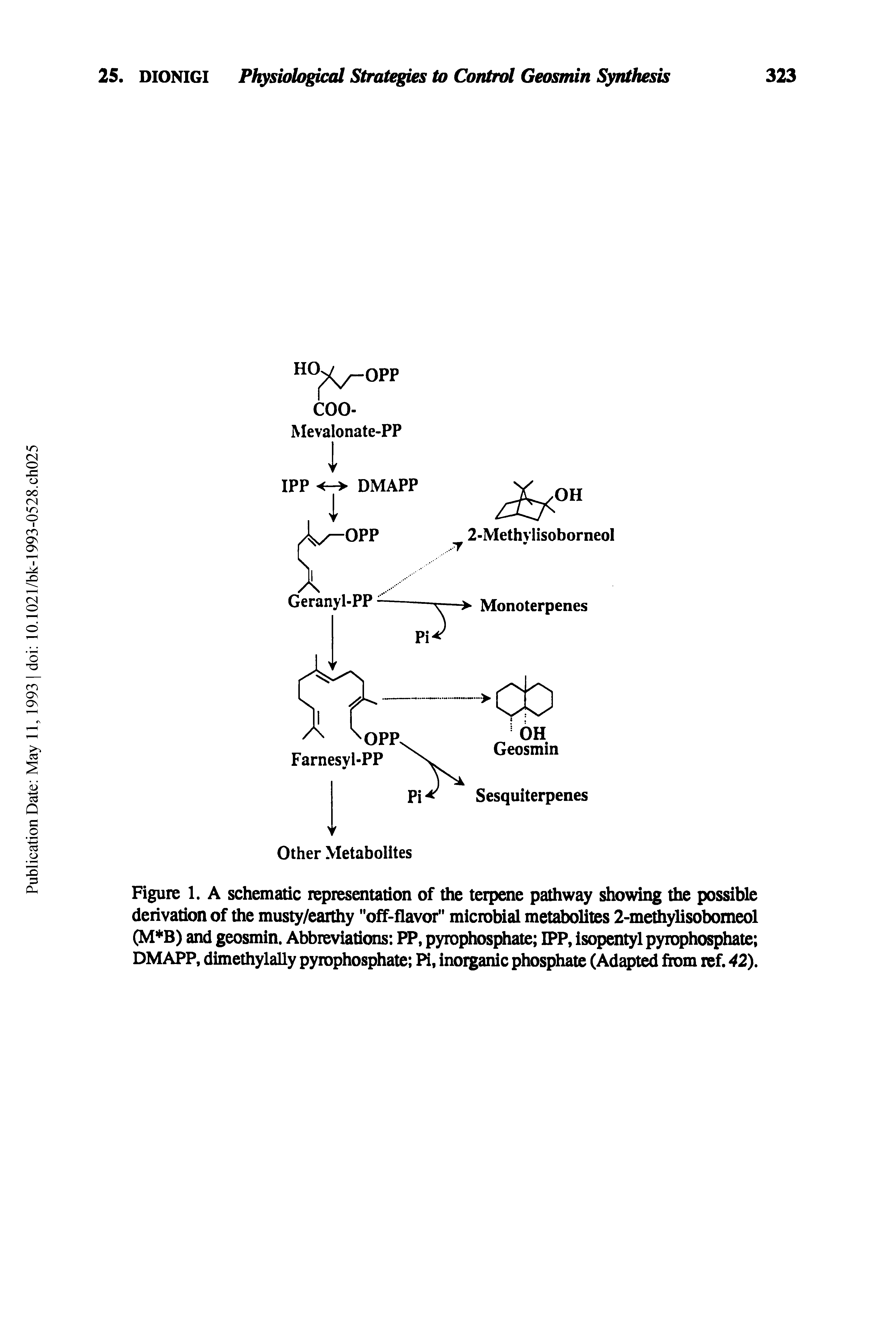 Figure 1. A schematic representation of the terpene pathway showing the possible derivation of the musty/earthy "off-flavor" microbial metabolites 2-methylisobomeol and geosmin. Abbreviations PP, pyrophosphate IPP, isopentyl pyrophosphate DMAPP, dimethylally pyrophosphate Pi, inorganic phosphate (Adapted from ref. 42),...
