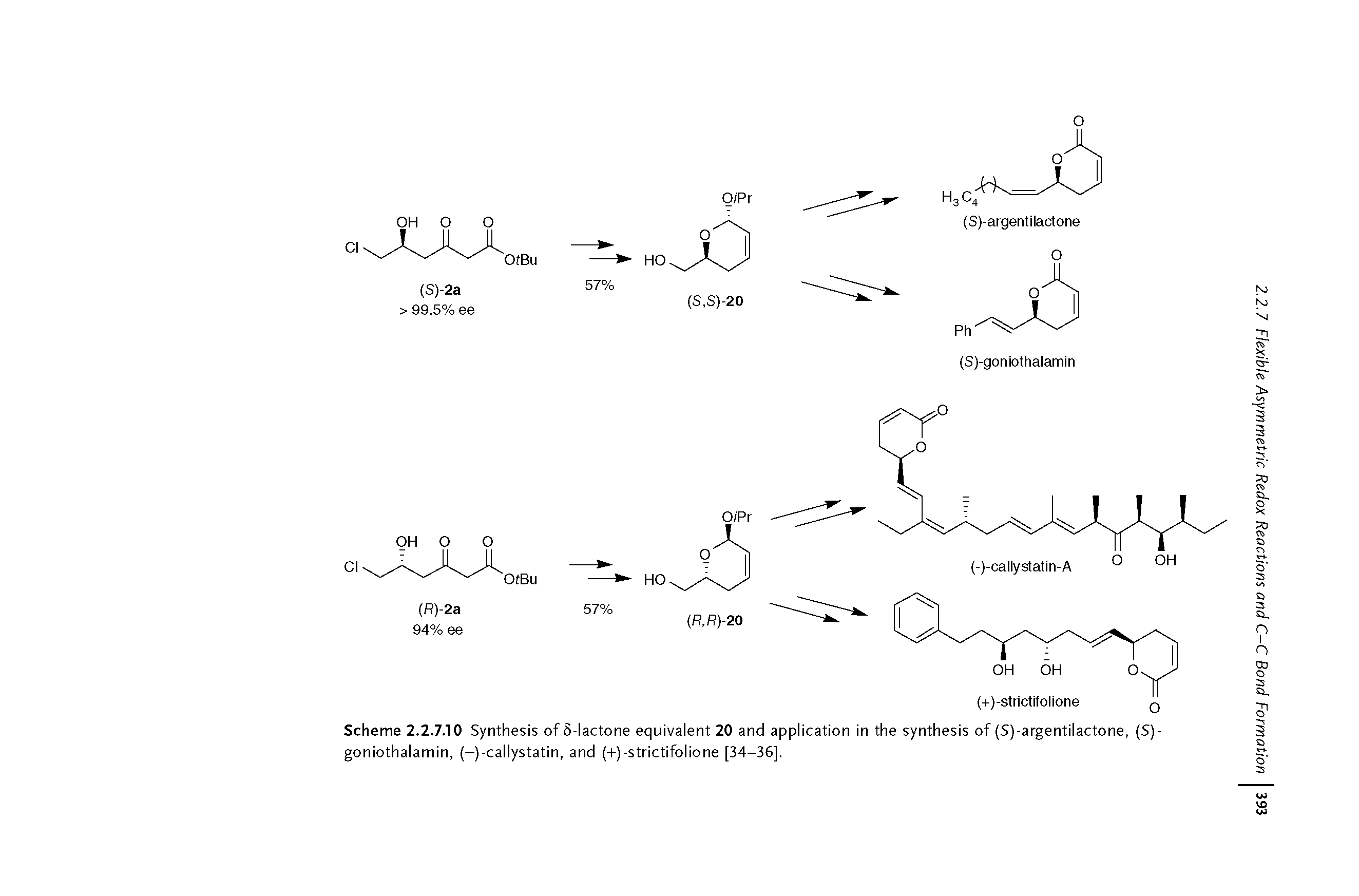 Scheme 2.2.7.10 Synthesis of 5-lactone equivalent 20 and application in the synthesis of (S)-argentilactone, (S)-goniothalamin, (-)-callystatin, and (-t)-strictifolione [34-36],...