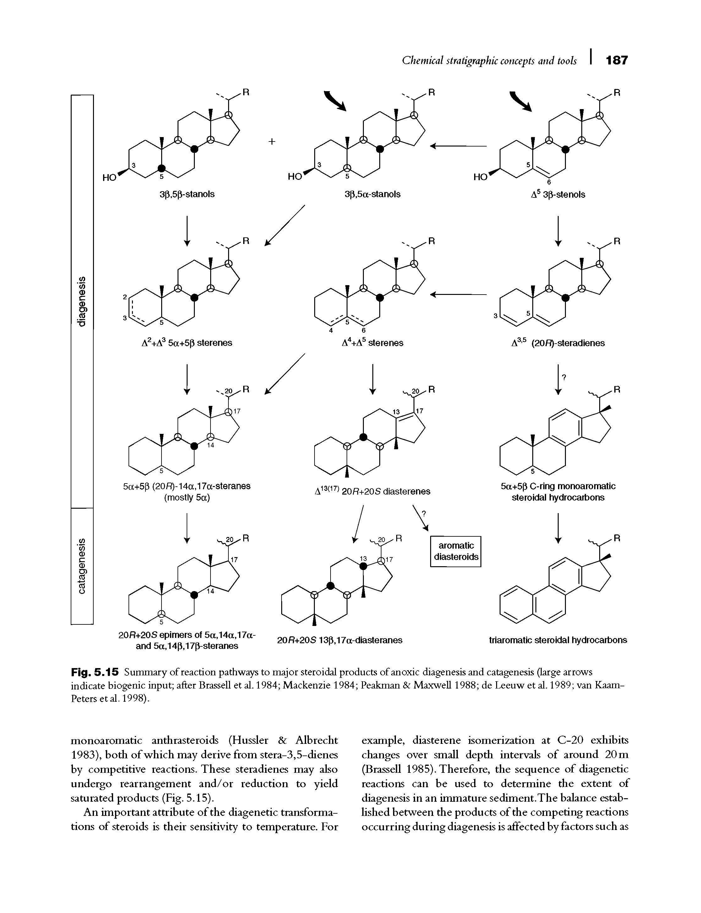 Fig. 5.15 Summary of reaction pathways to major steroidal products of anoxic diagenesis and catagenesis (large arrows indicate biogenic input after Brassell et al. 1984 Mackenzie 1984 Peakman Maxwell 1988 de Leeuw et al. 1989 van Kaam-Peters et al. 1998).