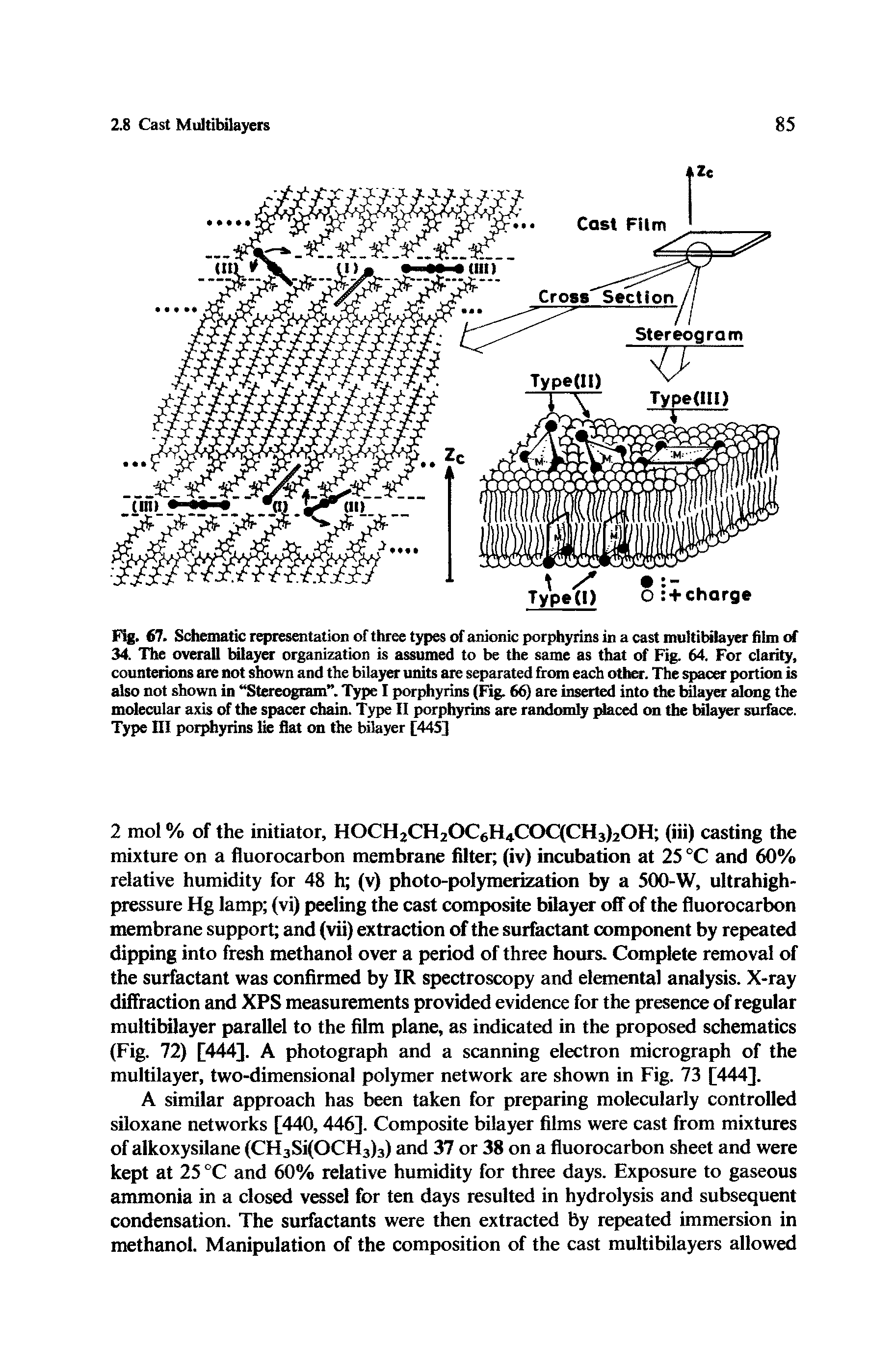 Fig. 67. Schematic representation of three types of anionic porphyrins in a cast multibilayer film of 34. The overall bilayer organization is assumed to be the same as that of Fig. 64. For clarity, counterions are not shown and the bilayer units are separated from each other. The spacer portion is also not shown in Stereogram . Type I porphyrins (Fig. 66) are inserted into the bilayer along the molecular axis of the spacer chain. Type II porphyrins are randomly placed on the bilayer surface. Type III porphyrins lie flat on the bilayer [445]...