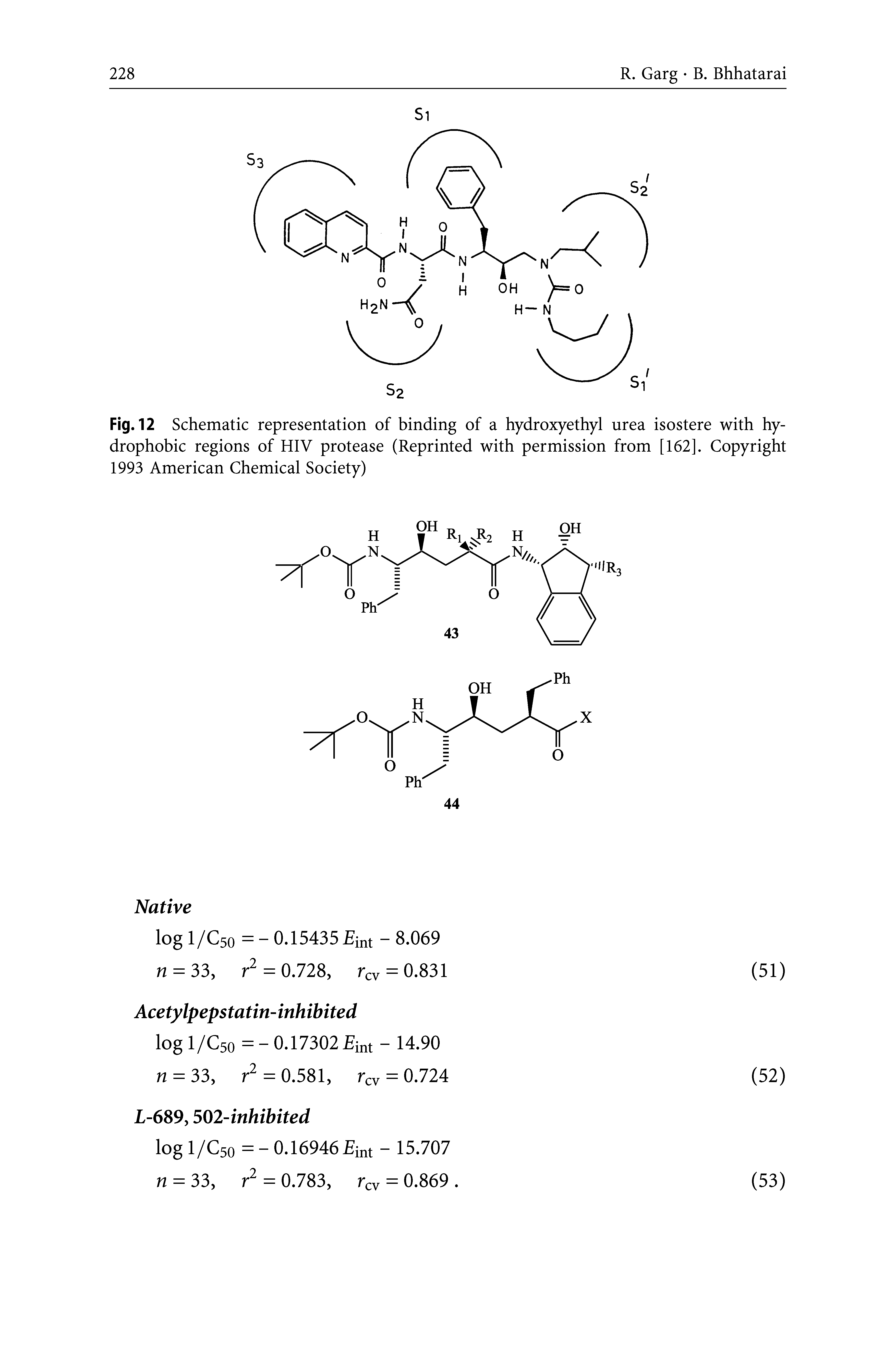 Fig. 12 Schematic representation of binding of a hydroxyethyl urea isostere with hydrophobic regions of HIV protease (Reprinted with permission from [162]. Copyright 1993 American Chemical Society)...