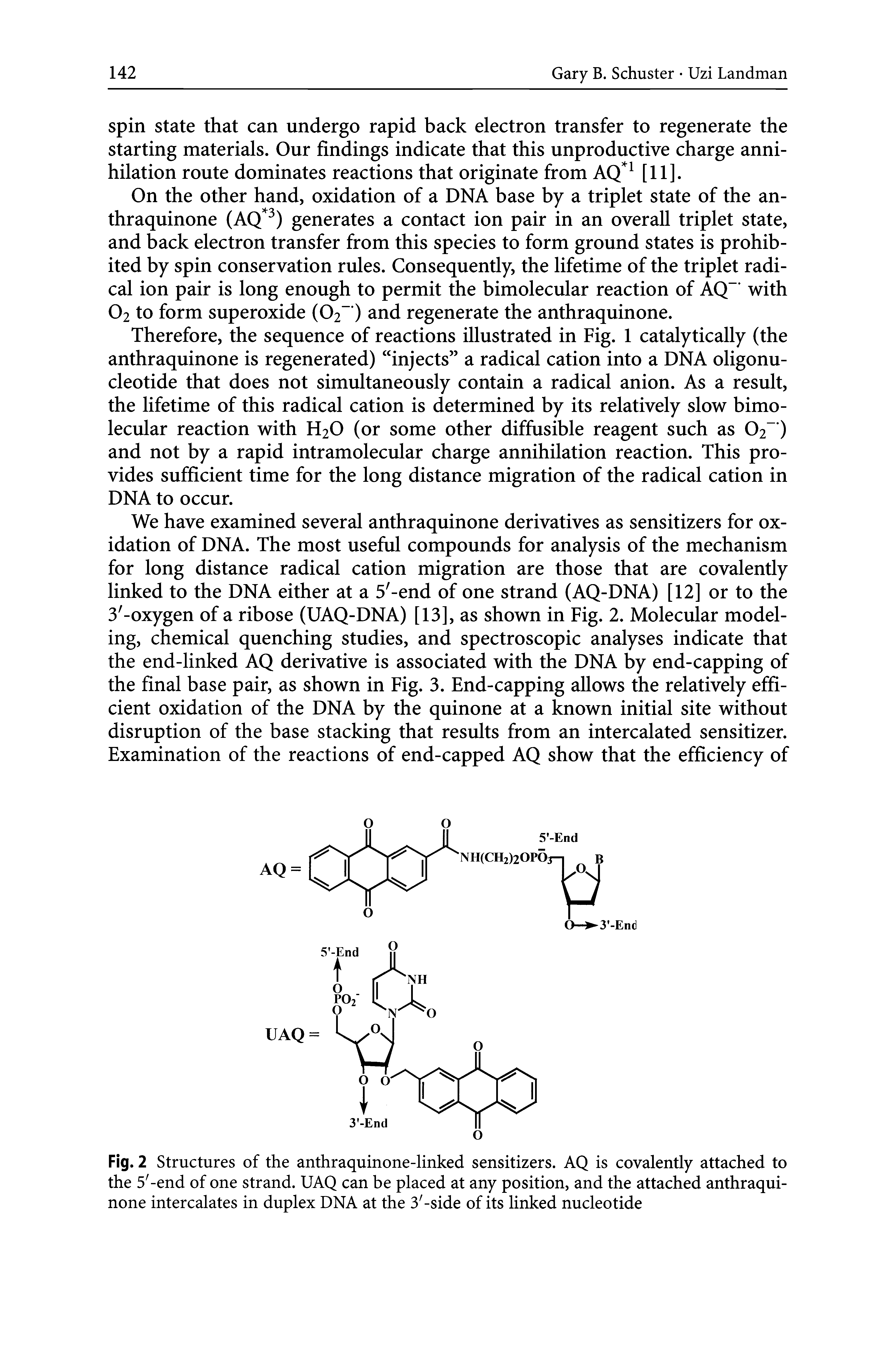 Fig. 2 Structures of the anthraquinone-linked sensitizers. AQ is covalently attached to the 5 -end of one strand. UAQ can be placed at any position, and the attached anthraquinone intercalates in duplex DNA at the 3 -side of its linked nucleotide...