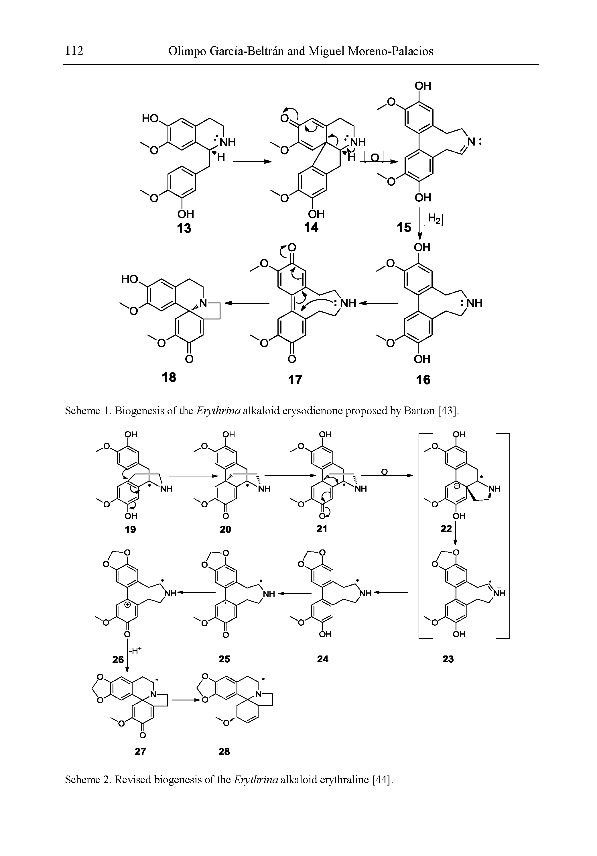 Scheme 1. Biogenesis of the Erythrina alkaloid erysodienone proposed by Barton [43] OH OH OH...