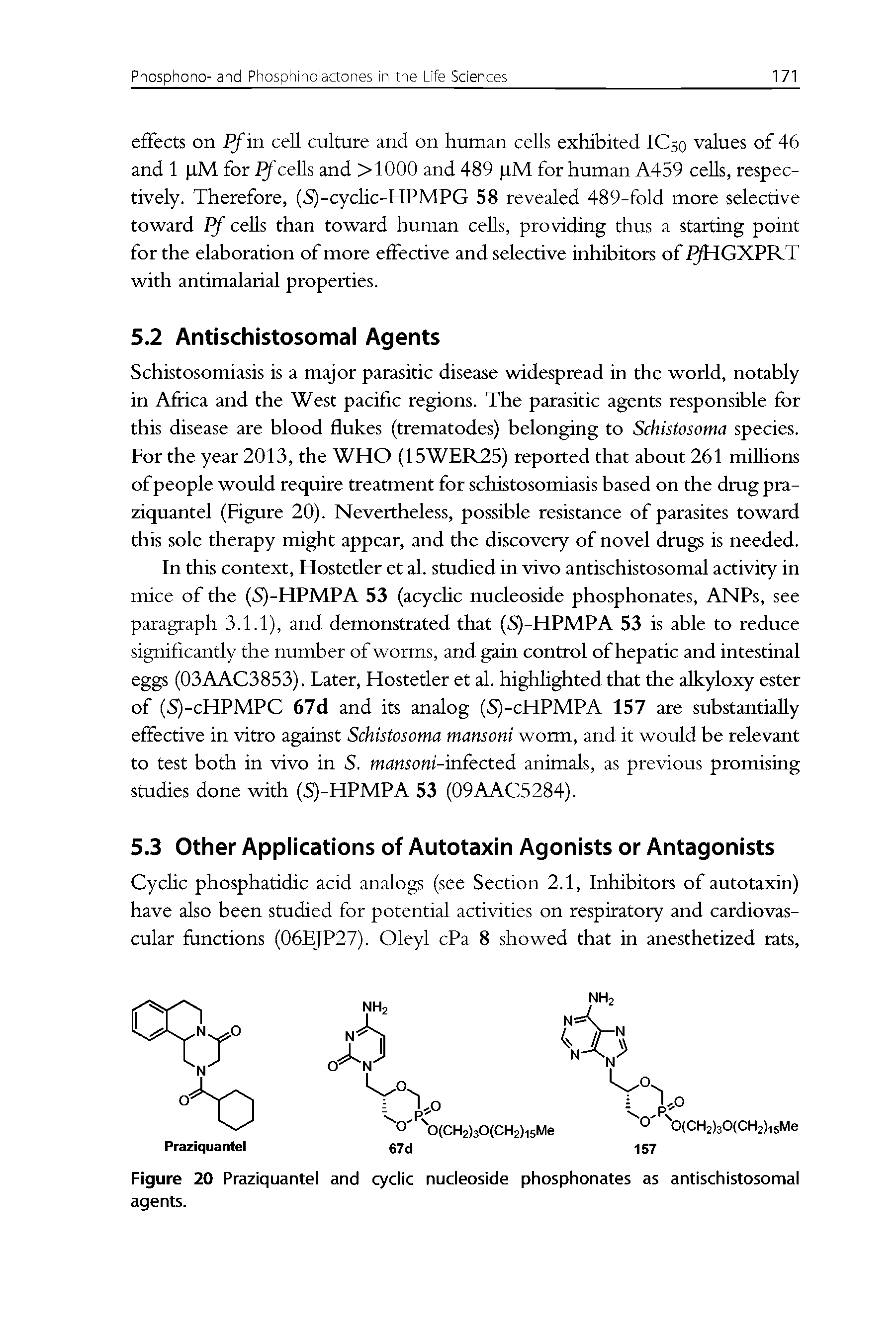 Figure 20 Praziquantel and cyclic nucleoside phosphonates as antischistosomal agents.