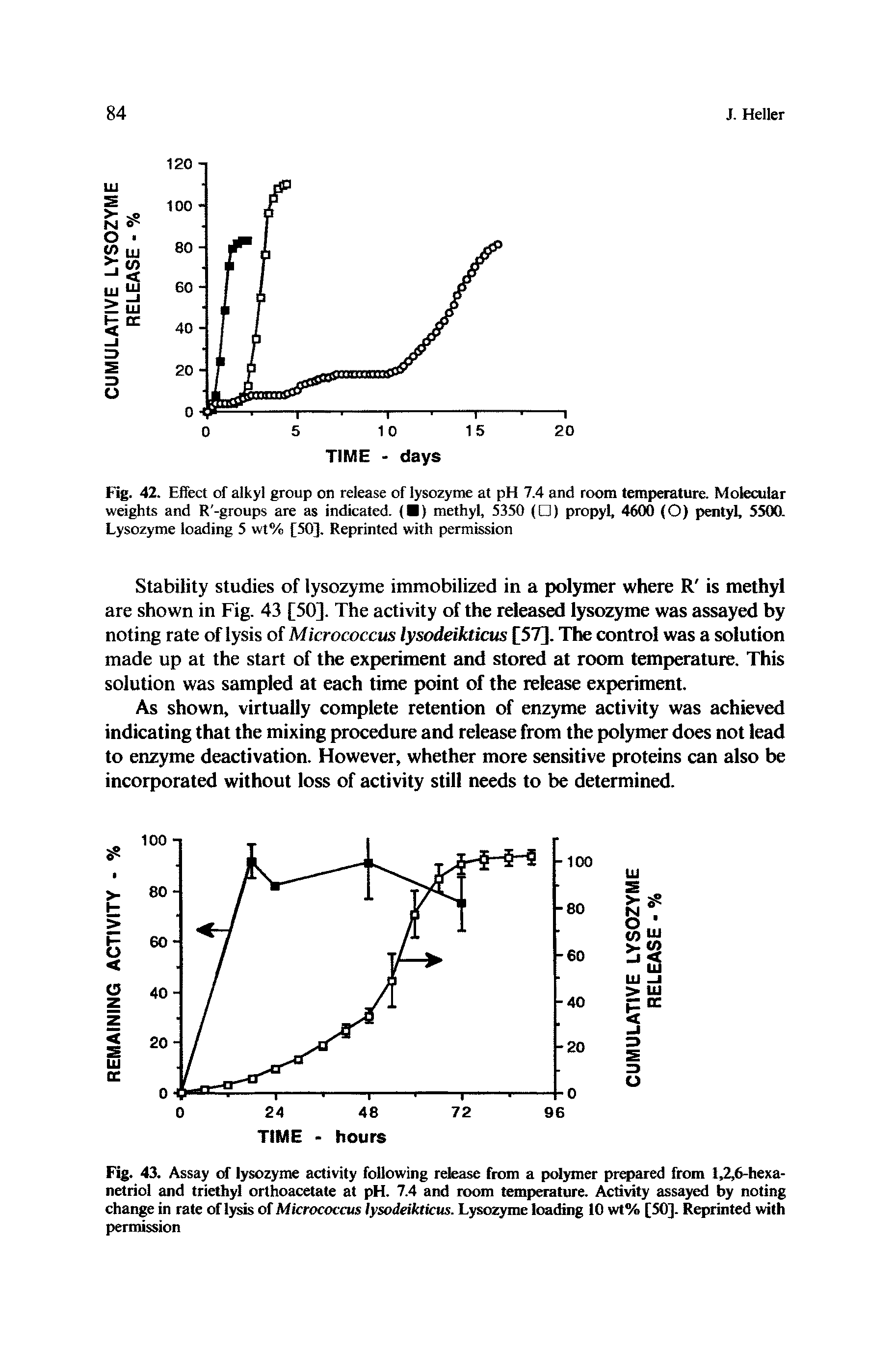 Fig. 43. Assay of lysozyme activity following release from a polymer prepared from 1,2,6-hexa-netriol and triethyl orthoacetate at pH. 7.4 and room temperature. Activity assayed by noting change in rate of lysis of Micrococcus lysodeikticus. Lysozyme loading 10 wt% [50]. Reprinted with permission...