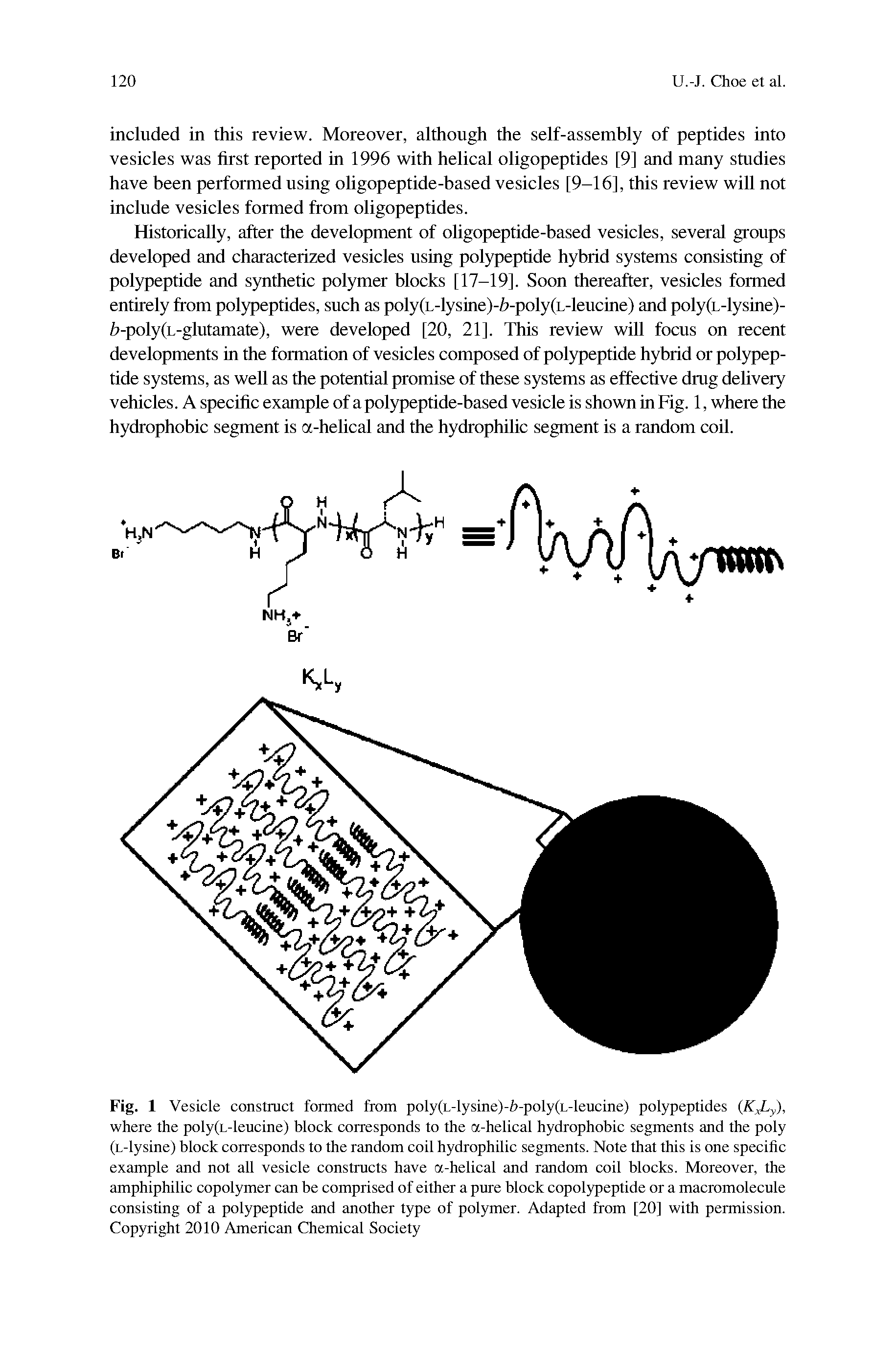 Fig. 1 Vesicle construct formed from poly(L-lysine)-i)-poly(L-leucme) polypeptides where the poly(L-leucine) block corresponds to the a-helical hydrophobic segments and the poly (L-lysine) block corresponds to the random coil hydrophilic segments. Note that this is one specific example and not all vesicle constructs have a-helical and random coil blocks. Moreover, the amphiphilic copolymer can be comprised of either a pure block copolypeptide or a macromolecule consisting of a polypeptide and another type of polymer. Adapted from [20] with permission. Copyright 2010 American Chemical Society...