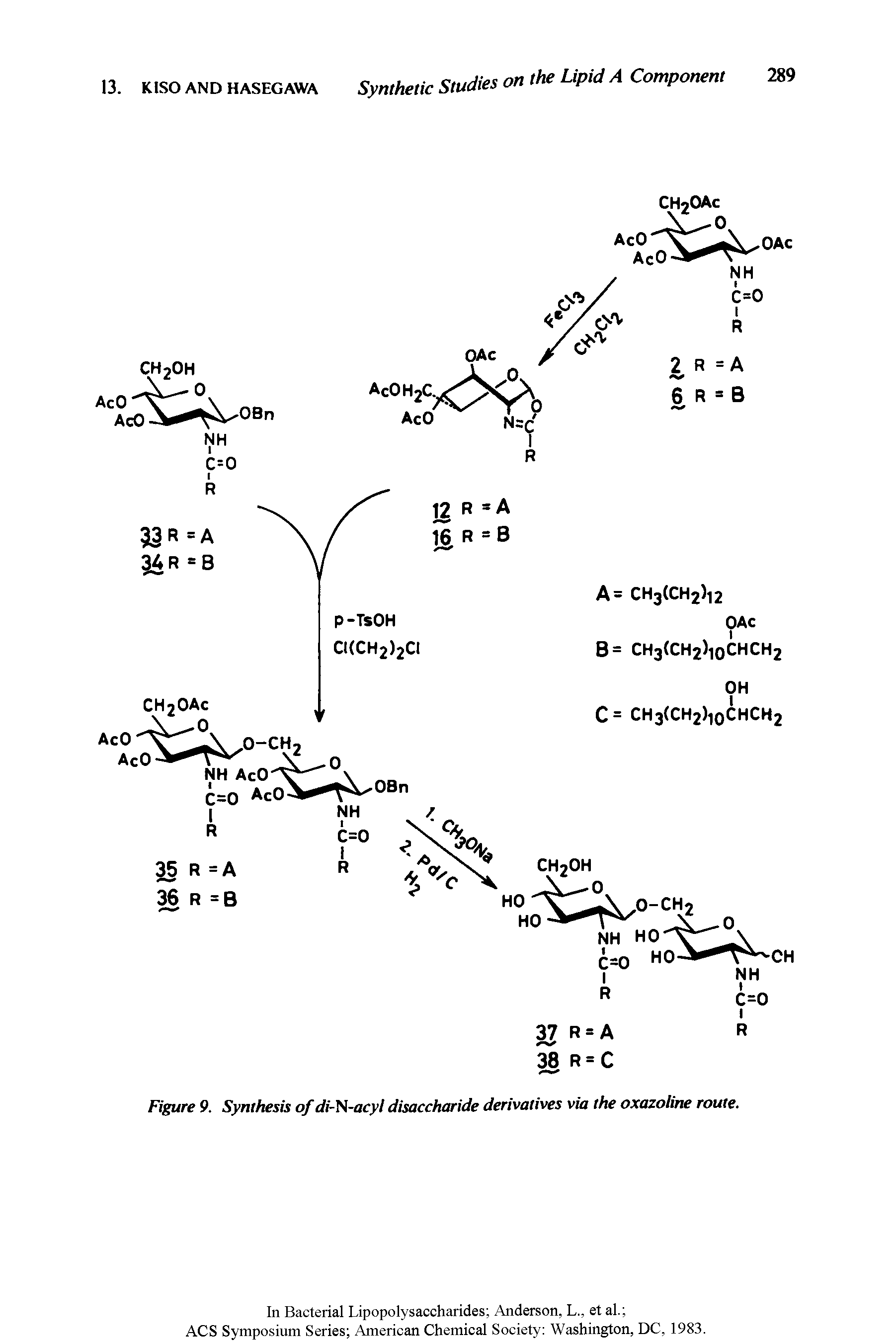 Figure 9. Synthesis of di-N-acyl disaccharide derivatives via the oxazoline route.