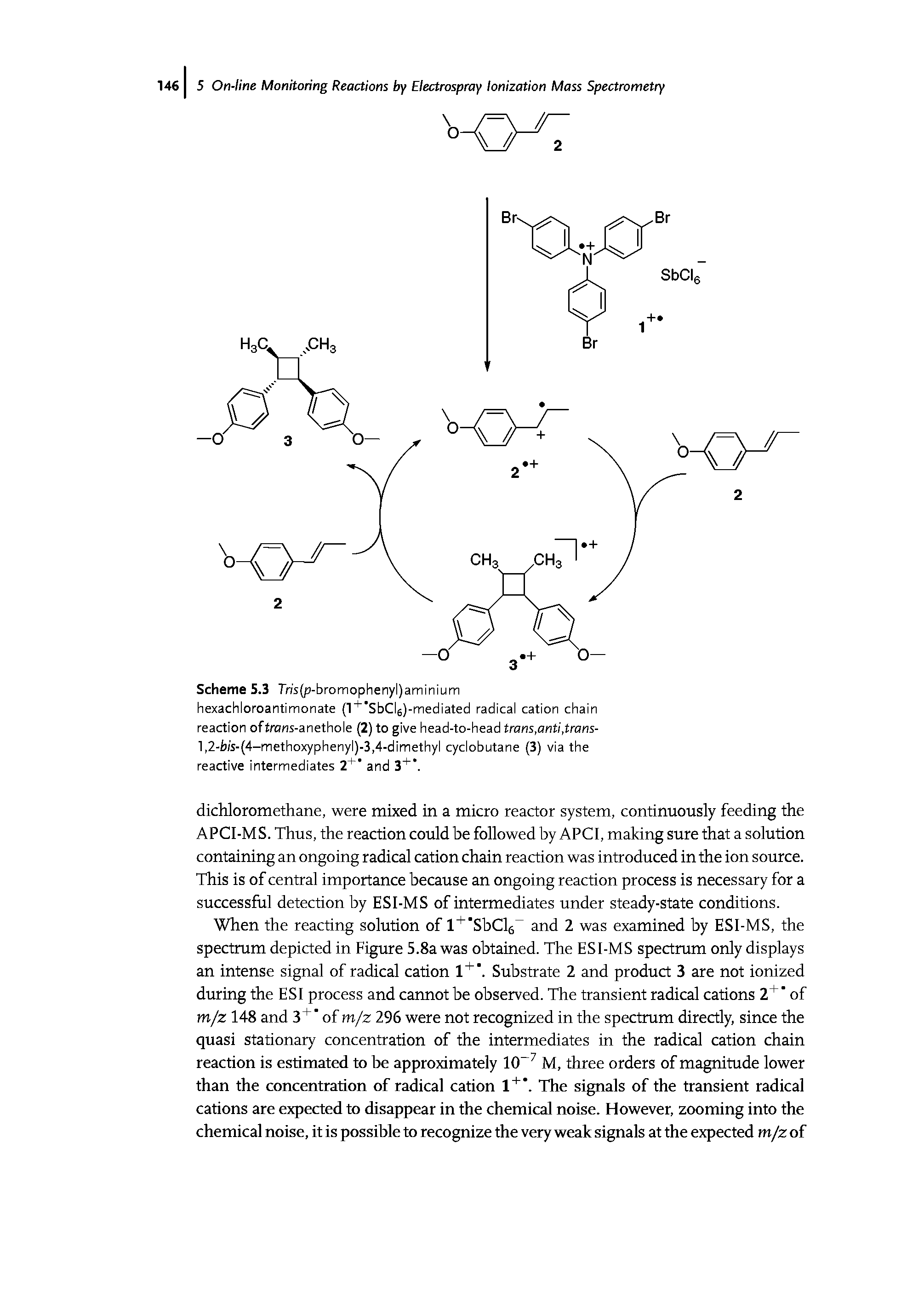 Scheme 5.3 Tr/s(p-bromophenyl)aminium hexachloroantimonate (l SbClj)-mediated radical cation chain reaction ofJrans-anethole (2) to give head-to-head trans,anti,trans-l,2-ii/s- 4-methoxyphenyl)-3,4-dimethyl cyclobutane (3) via the reactive intermediates 2 and 3 .