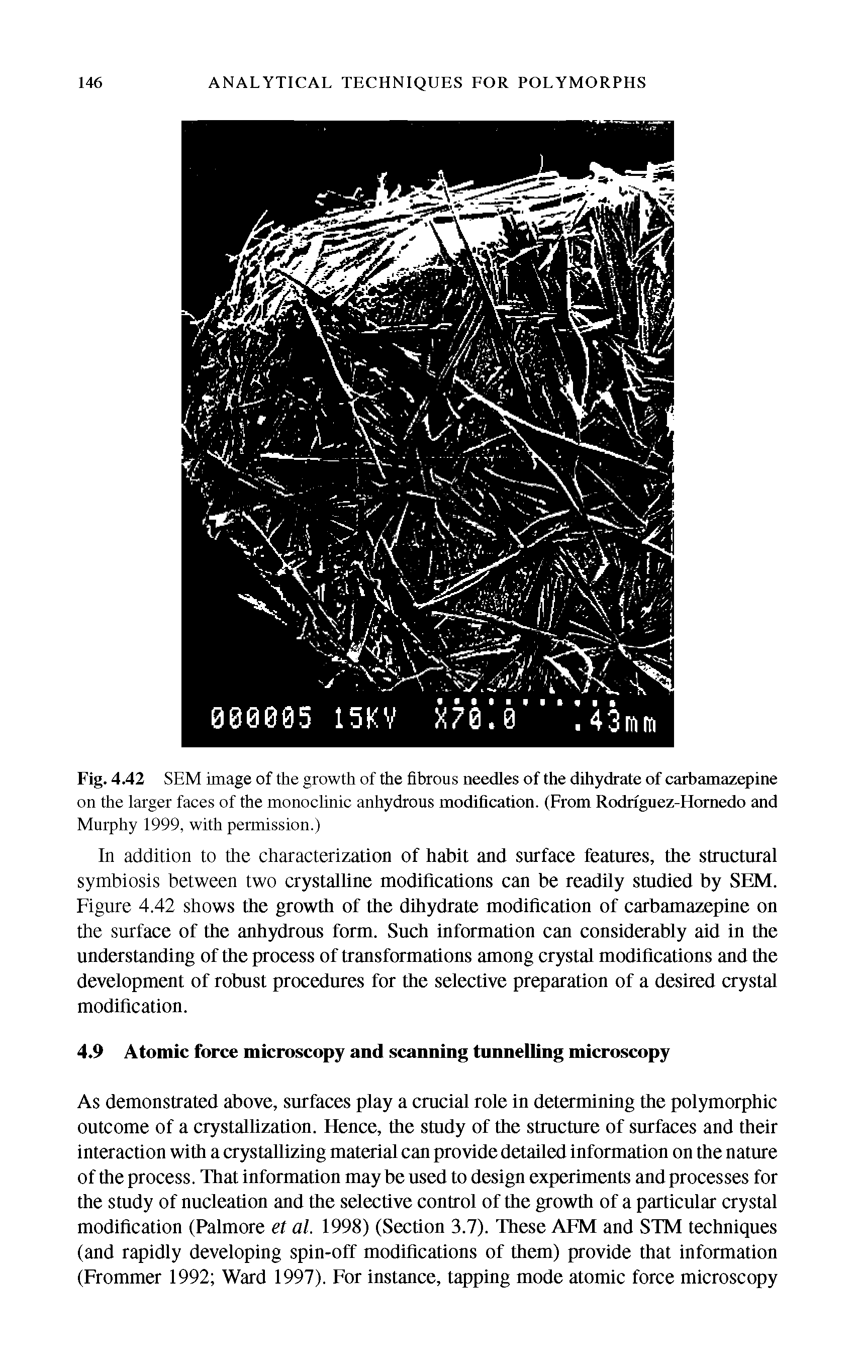 Fig. 4.42 SEM image of the growth of the fibrous needles of the dihydrate of carbamazepine on the larger faces of the monoclinic anhydrous modification. (From Rodriguez-Hornedo and Murphy 1999, with permission.)...
