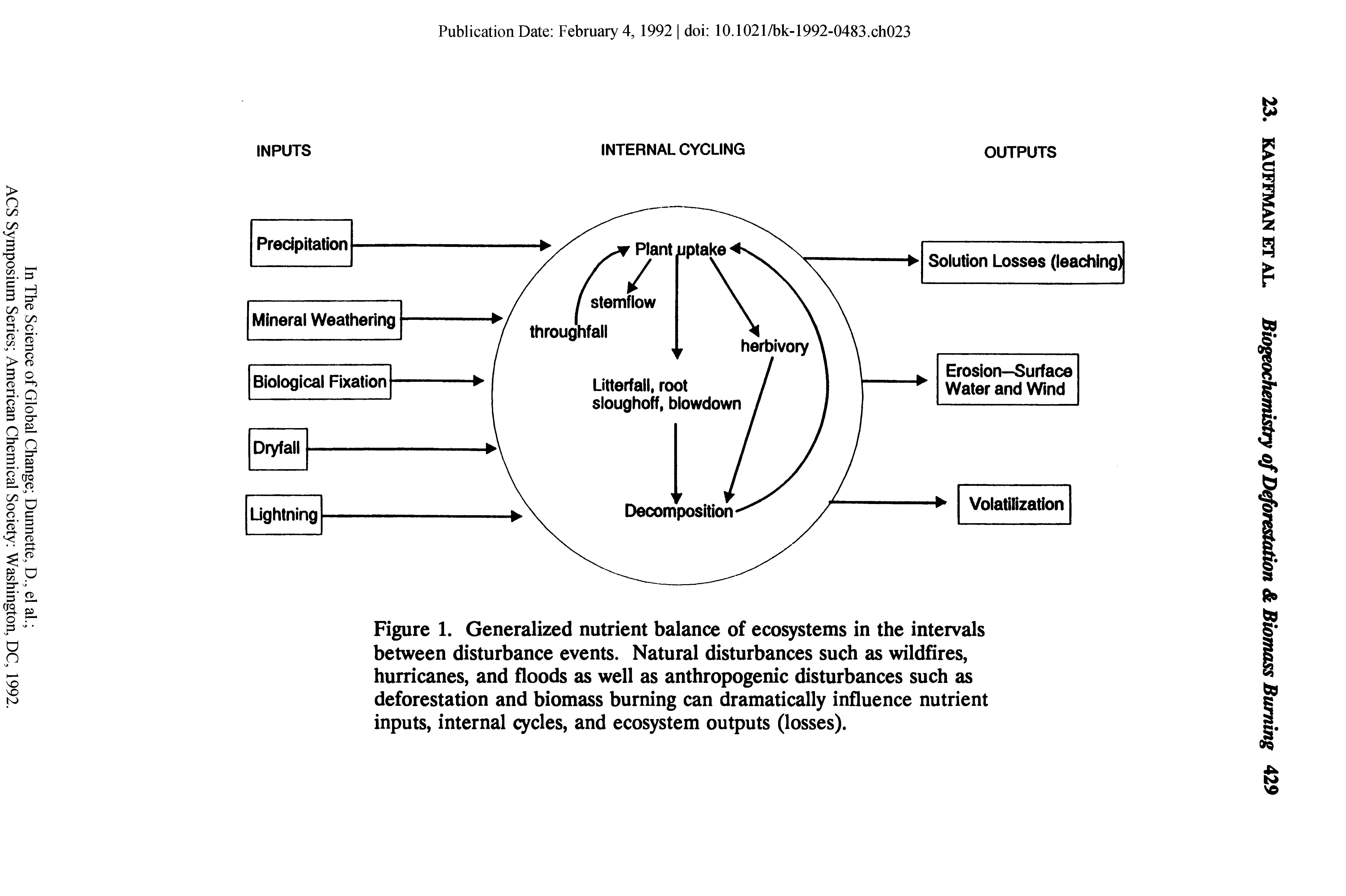 Figure 1. Generalized nutrient balance of ecosystems in the intervals between disturbance events. Natural disturbances such as wildfires, hurricanes, and floods as well as anthropogenic disturbances such as deforestation and biomass burning can dramatically influence nutrient inputs, internal cycles, and ecosystem outputs (losses).