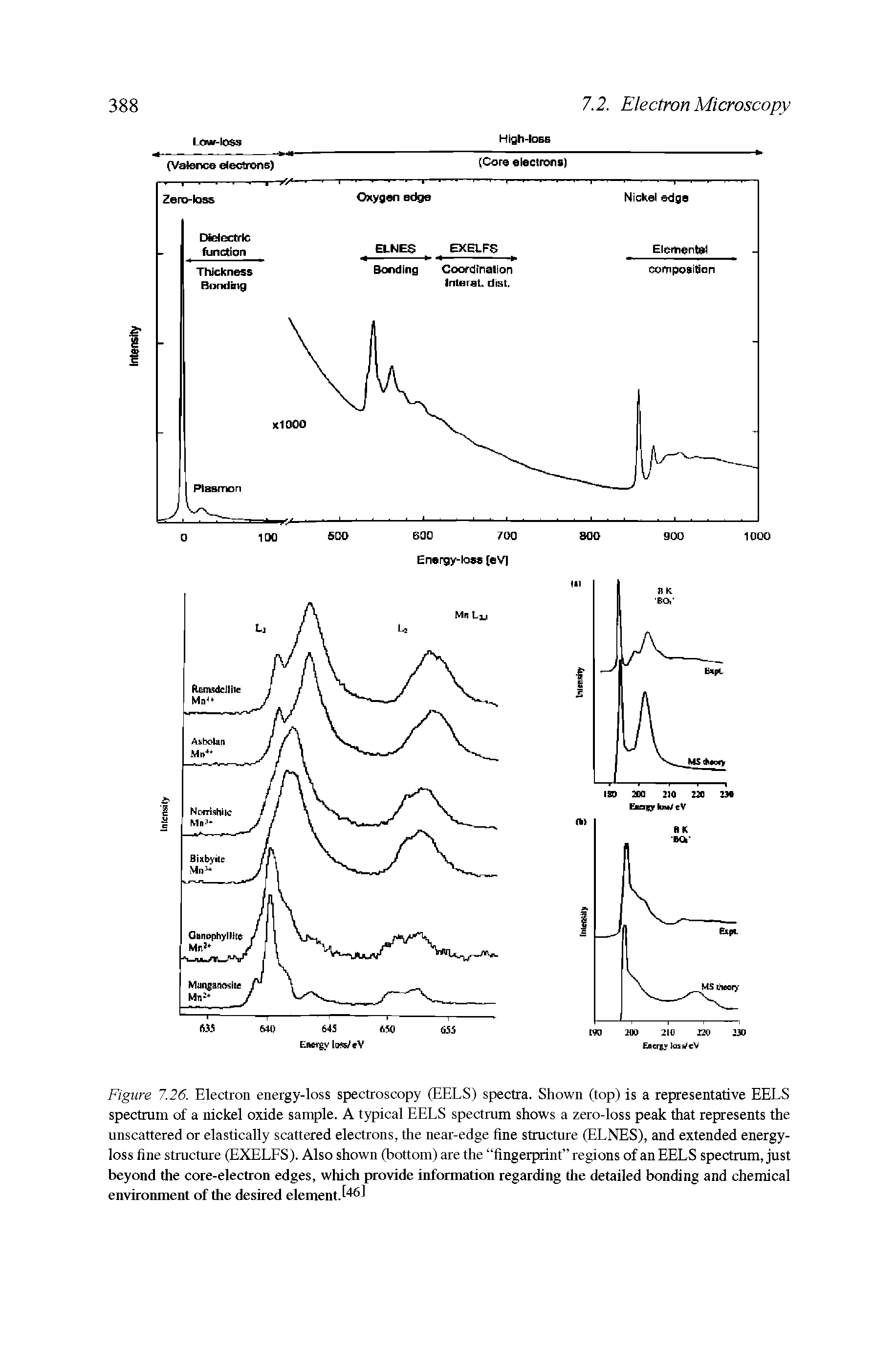 Figure 7.26. Electron energy-loss spectroscopy (EELS) spectra. Shown (top) is a representative EELS spectrum of a nickel oxide sample. A typical EELS spectrum shows a zero-loss peak that represents the unscattered or elastically scattered electrons, the near-edge fine structure (ELNES), and extended energy-loss fine structure (EXELFS). Also shown (bottom) are the fingerprint regions of an EELS spectrum, just beyond the core-electron edges, which provide information regarding the detailed bonding and chemical environment of the desired element.