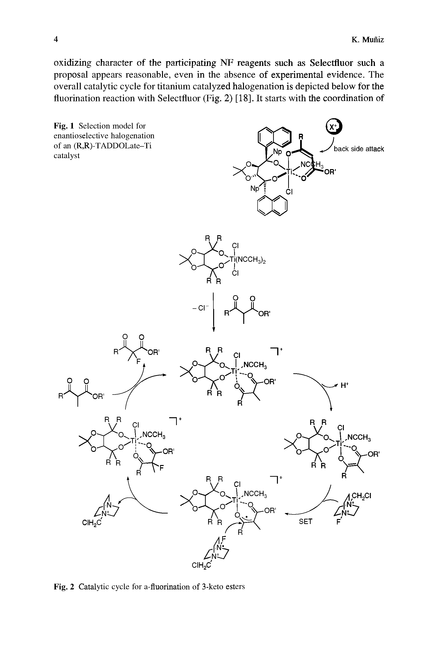 Fig. 1 Selection model for enantioselective halogenation of an (R,R)-TADDOLate-Ti catalyst...
