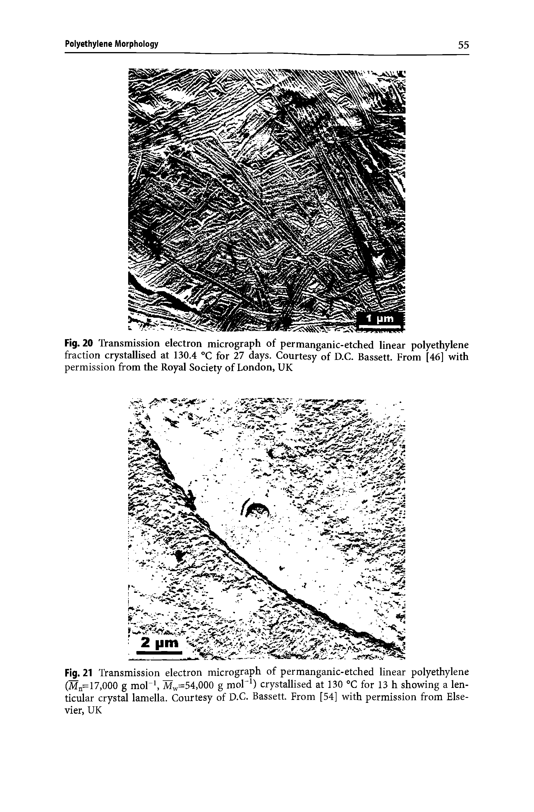 Fig. 21 Transmission electron micrograph of permanganic-etched linear polyethylene (Mn= 17,000 g mol-1, Mw=54,000 g mor1) crystallised at 130 °C for 13 h showing a lenticular crystal lamella. Courtesy of D.C. Bassett. From [54] with permission from Elsevier, UK...
