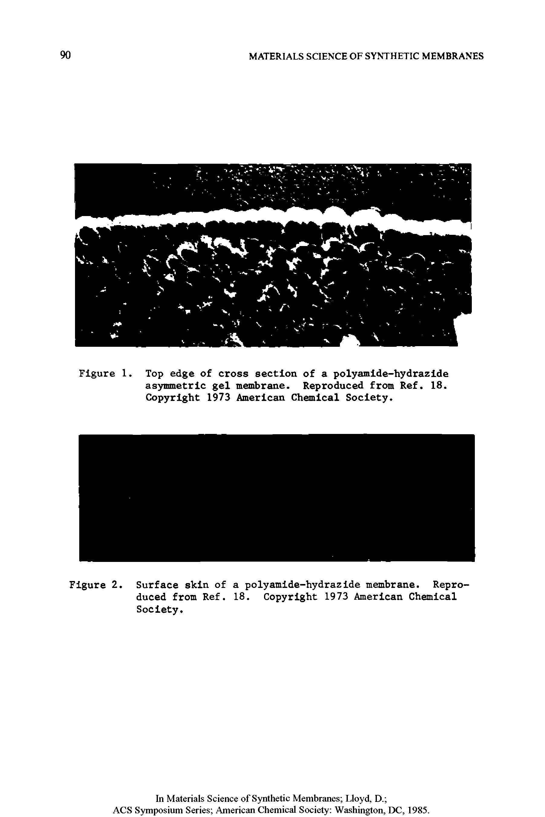 Figure 1. Top edge of cross section of a polyamide-hydrazide asymmetric gel membrane. Reproduced from Ref. 18. Copyright 1973 American Chemical Society.