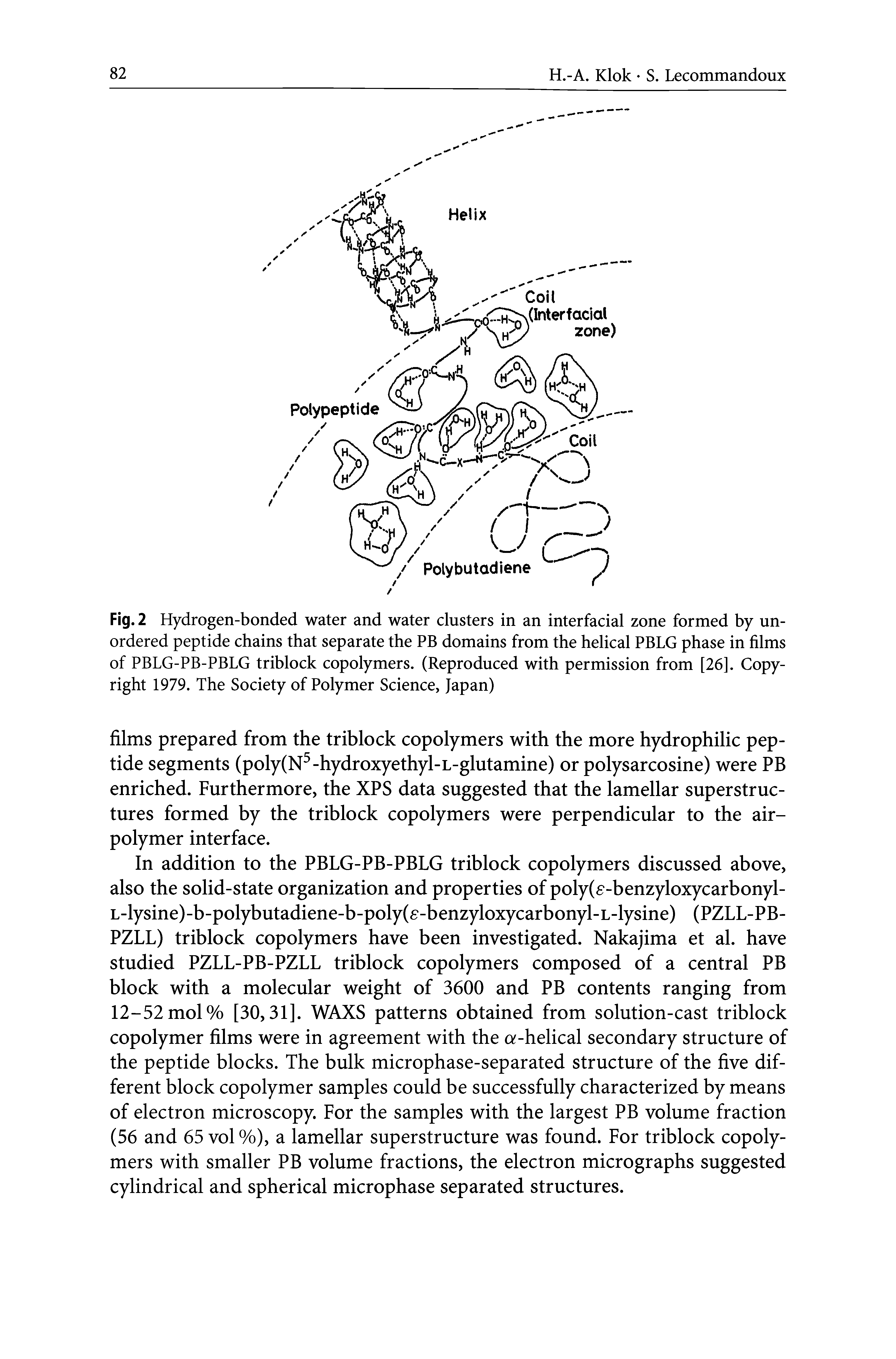 Fig. 2 Hydrogen-bonded water and water clusters in an interfacial zone formed by unordered peptide chains that separate the PB domains from the helical PBLG phase in films of PBLG-PB-PBLG triblock copolymers. (Reproduced with permission from [26]. Copyright 1979. The Society of Polymer Science, Japan)...