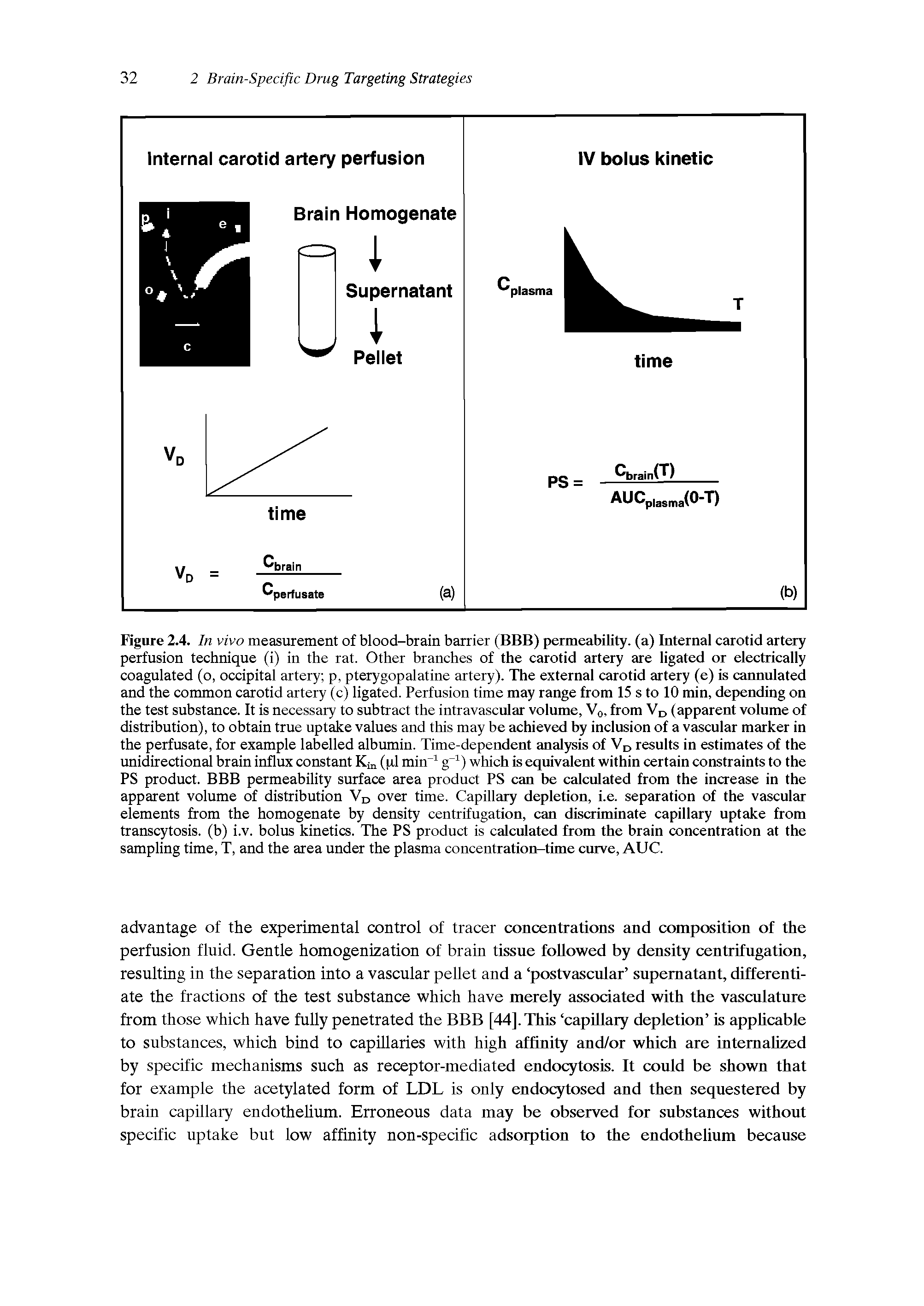 Figure 2.4. In vivo measurement of blood-brain barrier (BBB) permeability, (a) Internal carotid artery perfusion technique (i) in the rat. Other branches of the carotid artery are ligated or electrically coagulated (o, occipital artery p, pterygopalatine artery). The external carotid artery (e) is cannulated and the common carotid artery (c) ligated. Perfusion time may range from 15 s to 10 min, depending on the test substance. It is necessary to subtract the intravascular volume, Vo, from (apparent volume of distribution), to obtain true uptake values and this may be achieved by inclusion of a vascular marker in the perfusate, for example labelled albumin. Time-dependent analysis of results in estimates of the unidirectional brain influx constant Ki (pi min which is equivalent within certain constraints to the PS product. BBB permeability surface area product PS can be calculated from the increase in the apparent volume of distribution Vd over time. Capillary depletion, i.e. separation of the vascular elements from the homogenate by density centrifugation, can discriminate capillary uptake from transcytosis. (b) i.v. bolus kinetics. The PS product is calculated from the brain concentration at the sampling time, T, and the area under the plasma concentration-time curve, AUC.