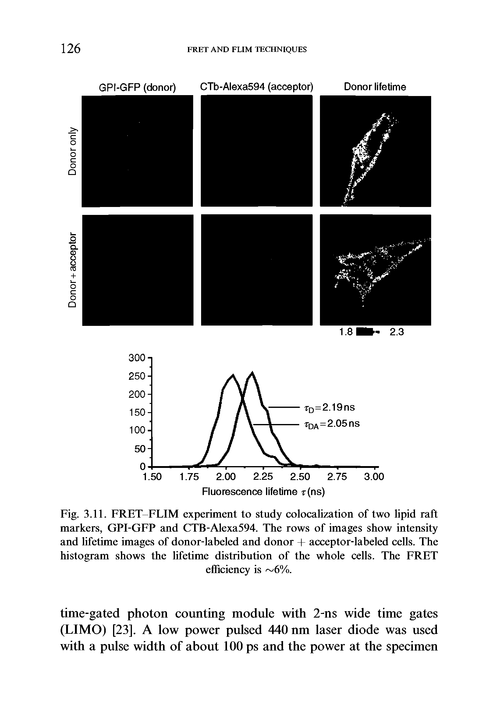 Fig. 3.11. FRET FLIM experiment to study colocalization of two lipid raft markers, GPI-GFP and CTB-Alexa594. The rows of images show intensity and lifetime images of donor-labeled and donor + acceptor-labeled cells. The histogram shows the lifetime distribution of the whole cells. The FRET...