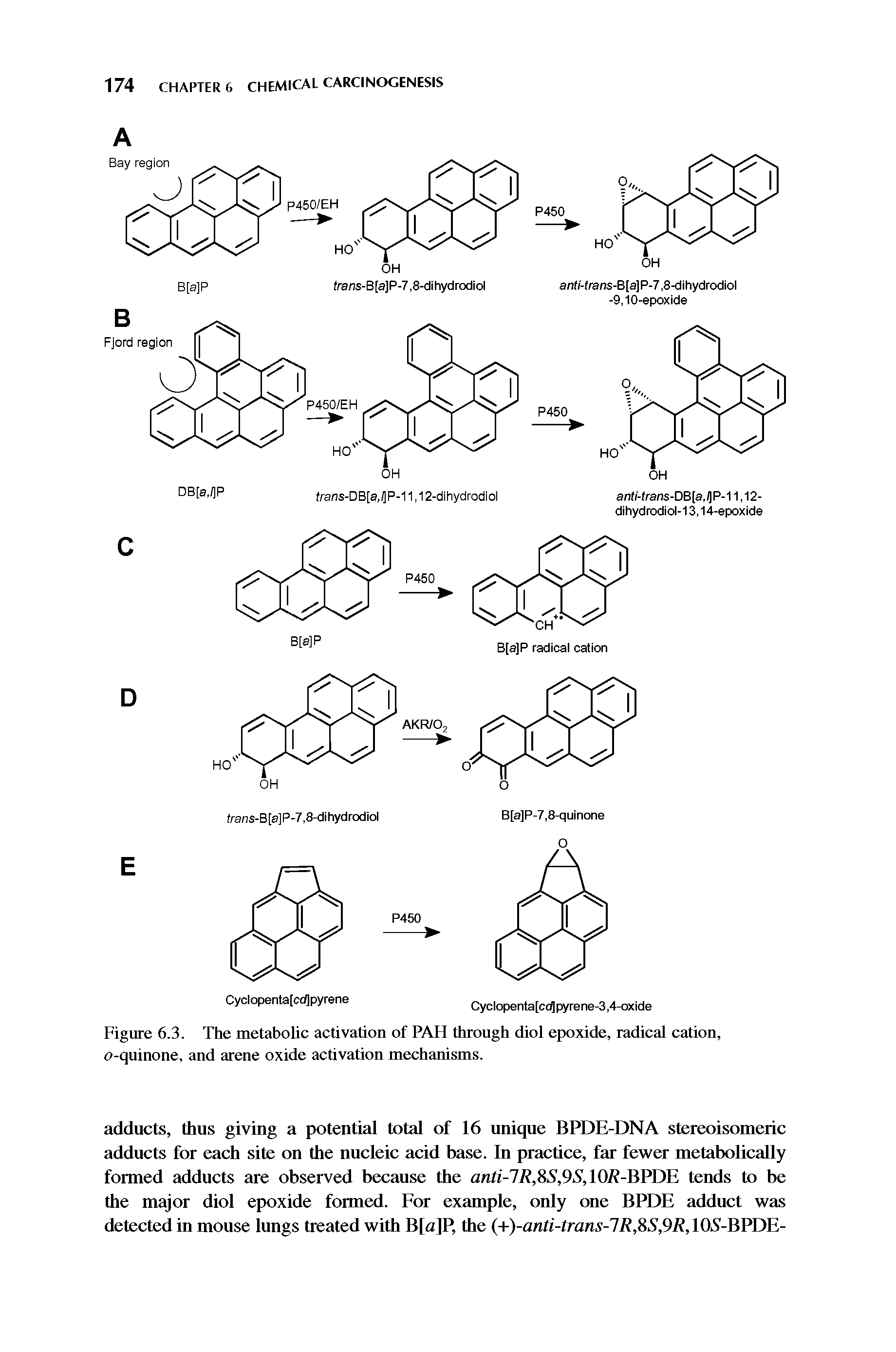 Figure 6.3. The metabolic activation of PAH through diol epoxide, radical cation, o-quinone, and arene oxide activation mechanisms.