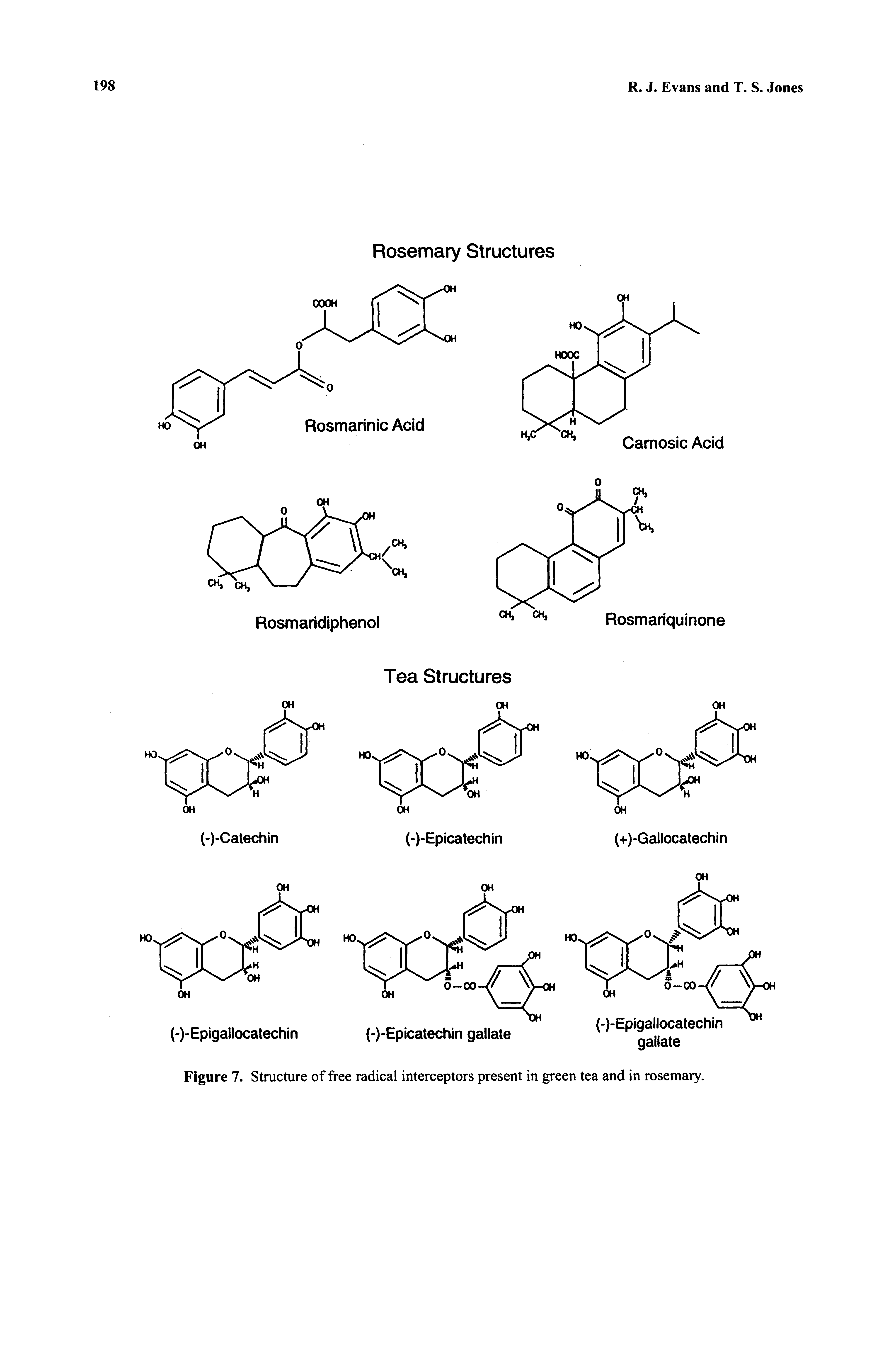 Figure 7. Structure of free radical interceptors present in green tea and in rosemary.
