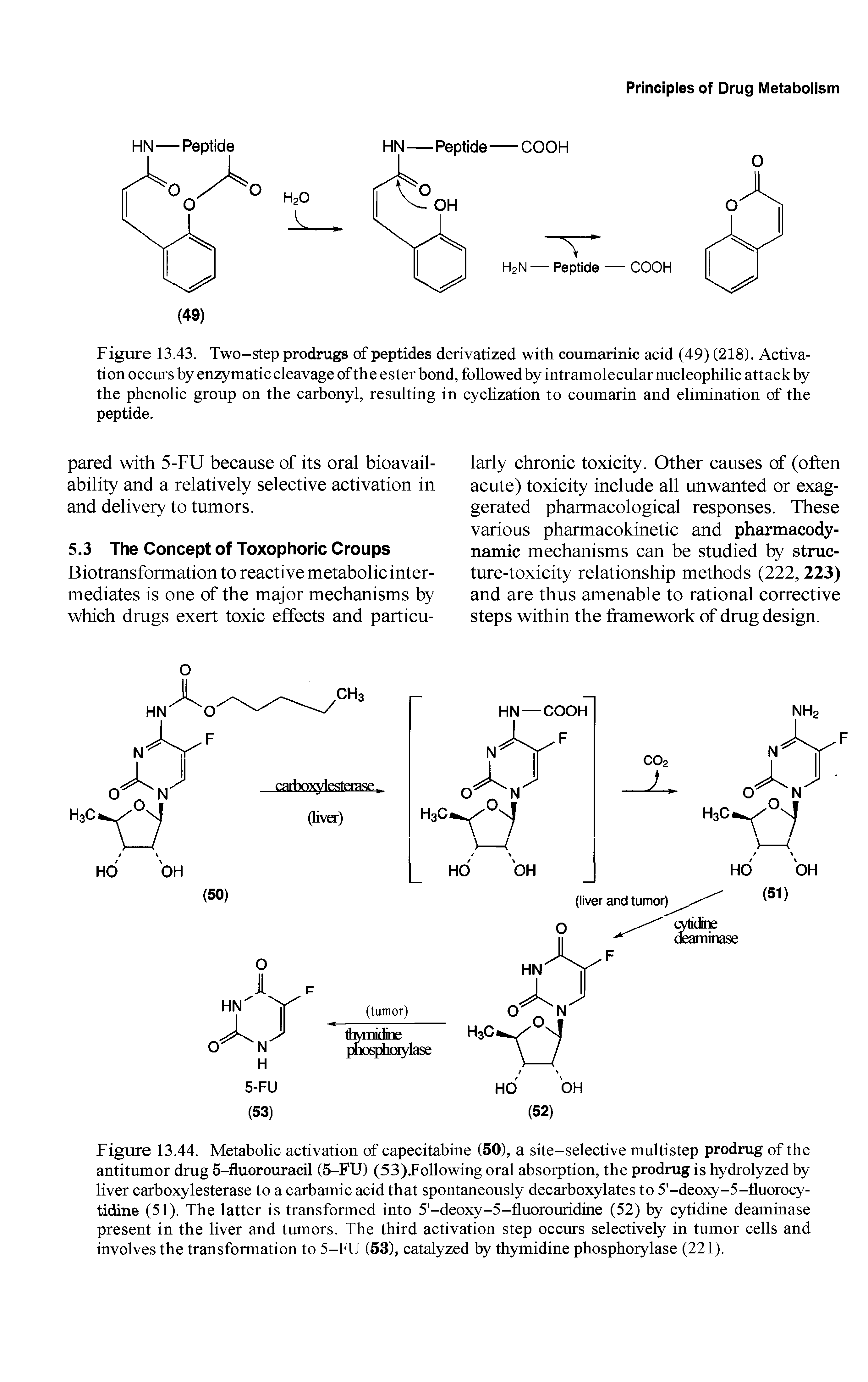 Figure 13.43. Two-step prodrugs of peptides derivatized with coumarinic acid (49) (218). Activation occurs by enzymatic cleavage of the ester bond, followed by intramolecular nucleophilic attack by the phenolic group on the carbonyl, resulting in cyclization to coumarin and elimination of the peptide.
