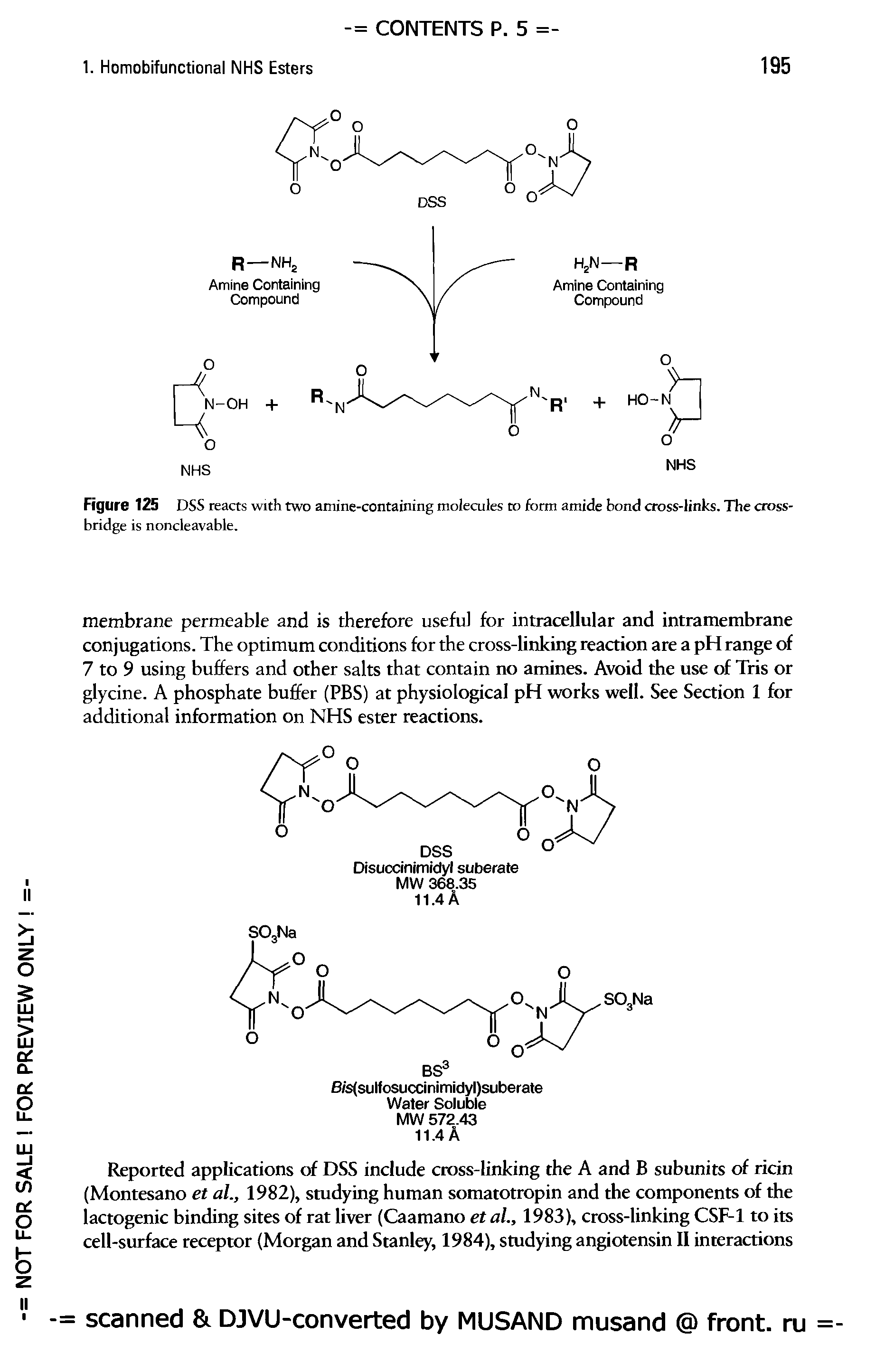 Figure 125 DSS reacts with two amine-containing molecules to form amide bond cross-links. The crossbridge is noncleavable.