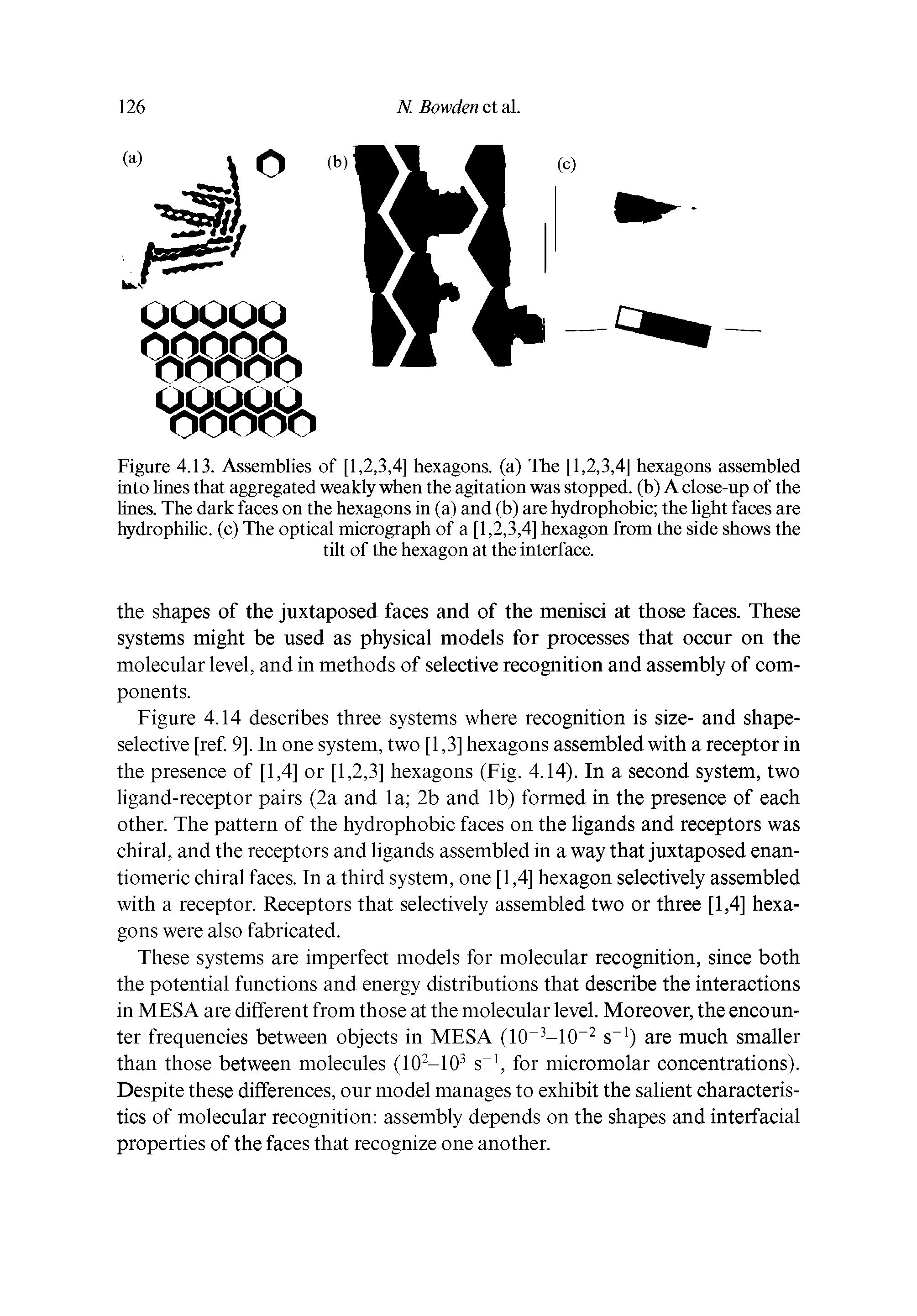 Figure 4.14 describes three systems where recognition is size- and shape-selective [ref. 9]. In one system, two [1,3] hexagons assembled with a receptor in the presence of [1,4] or [1,2,3] hexagons (Fig. 4.14). In a second system, two ligand-receptor pairs (2a and la 2b and lb) formed in the presence of each other. The pattern of the hydrophobic faces on the ligands and receptors was chiral, and the receptors and ligands assembled in a way that juxtaposed enantiomeric chiral faces. In a third system, one [1,4] hexagon selectively assembled with a receptor. Receptors that selectively assembled two or three [1,4] hexagons were also fabricated.