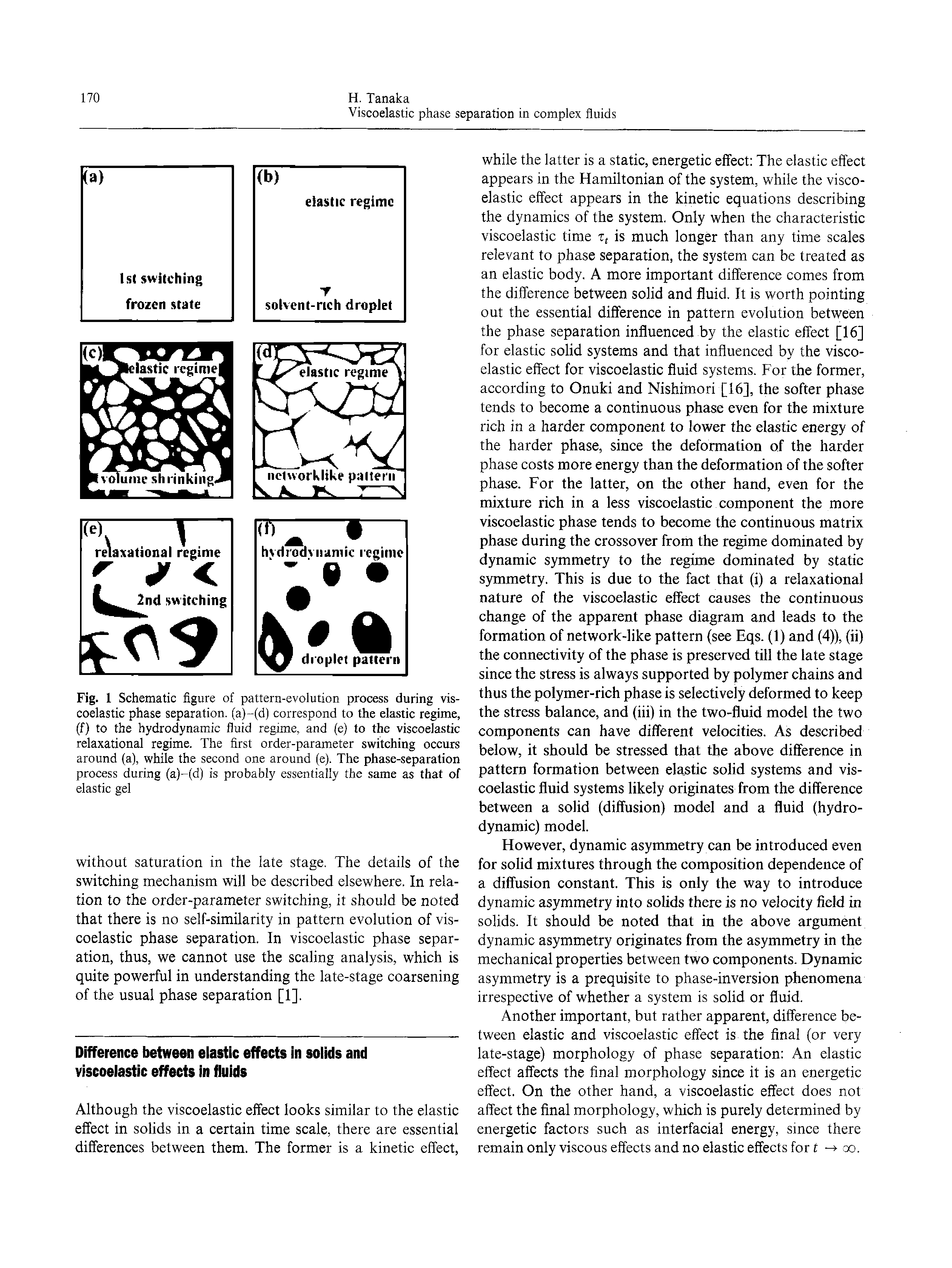 Fig. 1 Schematic figure of pattern-evolution process during viscoelastic phase separation, (a)-(d) correspond to the elastic regime, (f) to the hydrodynamic fluid regime, and (e) to the viscoelastic relaxational regime. The first order-parameter switching occurs around (a), while the second one around (e). The phase-separation process during (a)-(d) is probably essentially the same as that of elastic gel...