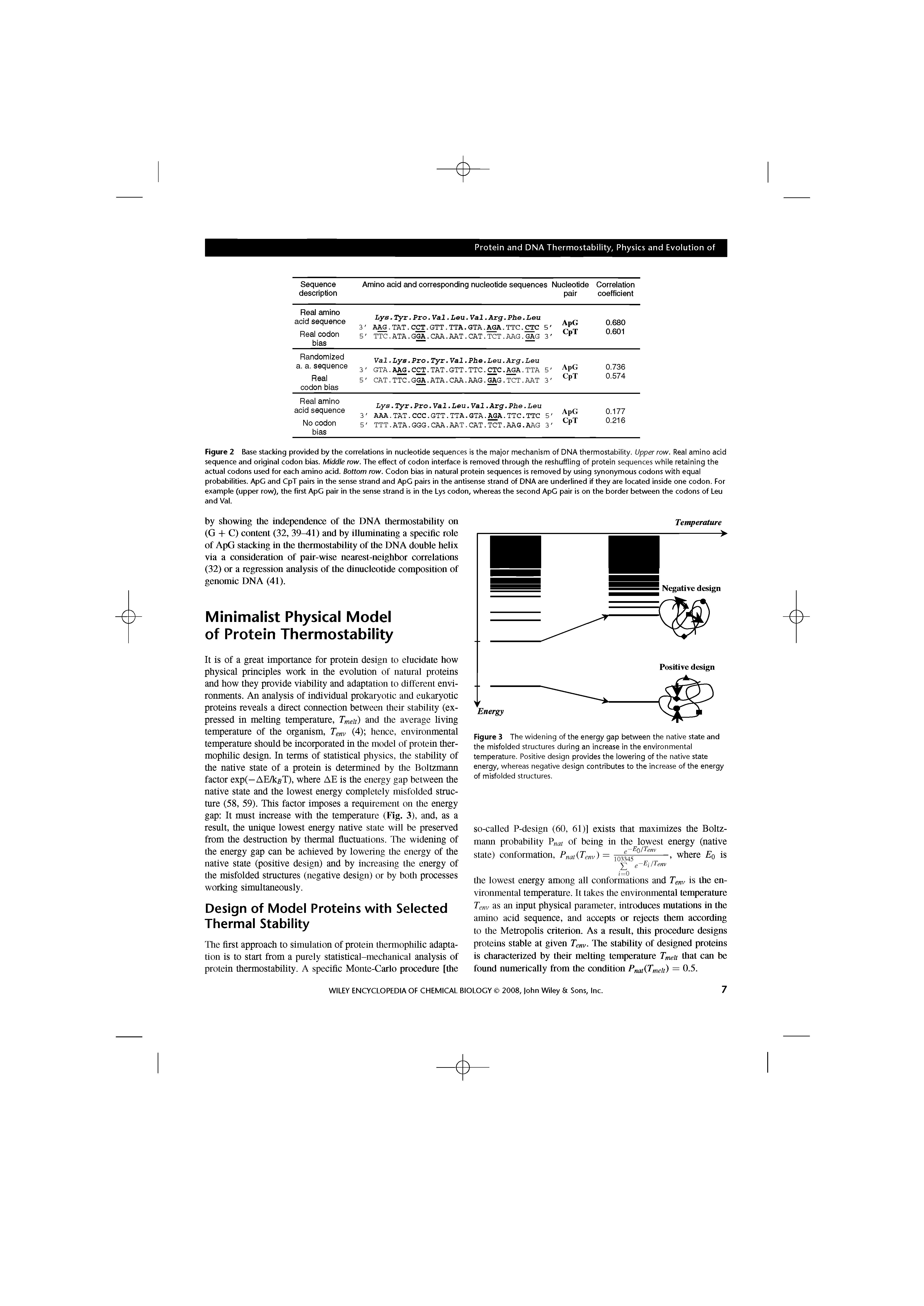 Figure 2 Base stacking provided by the correlations in nucleotide sequences is the major mechanism of DNA thermostability. Upper row. Real amino acid sequence and original codon bias. Middle row. The effect of codon interface is removed through the reshuffling of protein sequences while retaining the actual codons used for each amino acid. Bottom row. Codon bias in natural protein sequences is removed by using synonymous codons with equal probabilities. ApG and CpT pairs in the sense strand and ApG pairs in the antisense strand of DNA are underlined if they are located inside one codon. For example (upper row), the first ApG pair in the sense strand is in the Lys codon, whereas the second ApG pair is on the border between the codons of Leu and Val.
