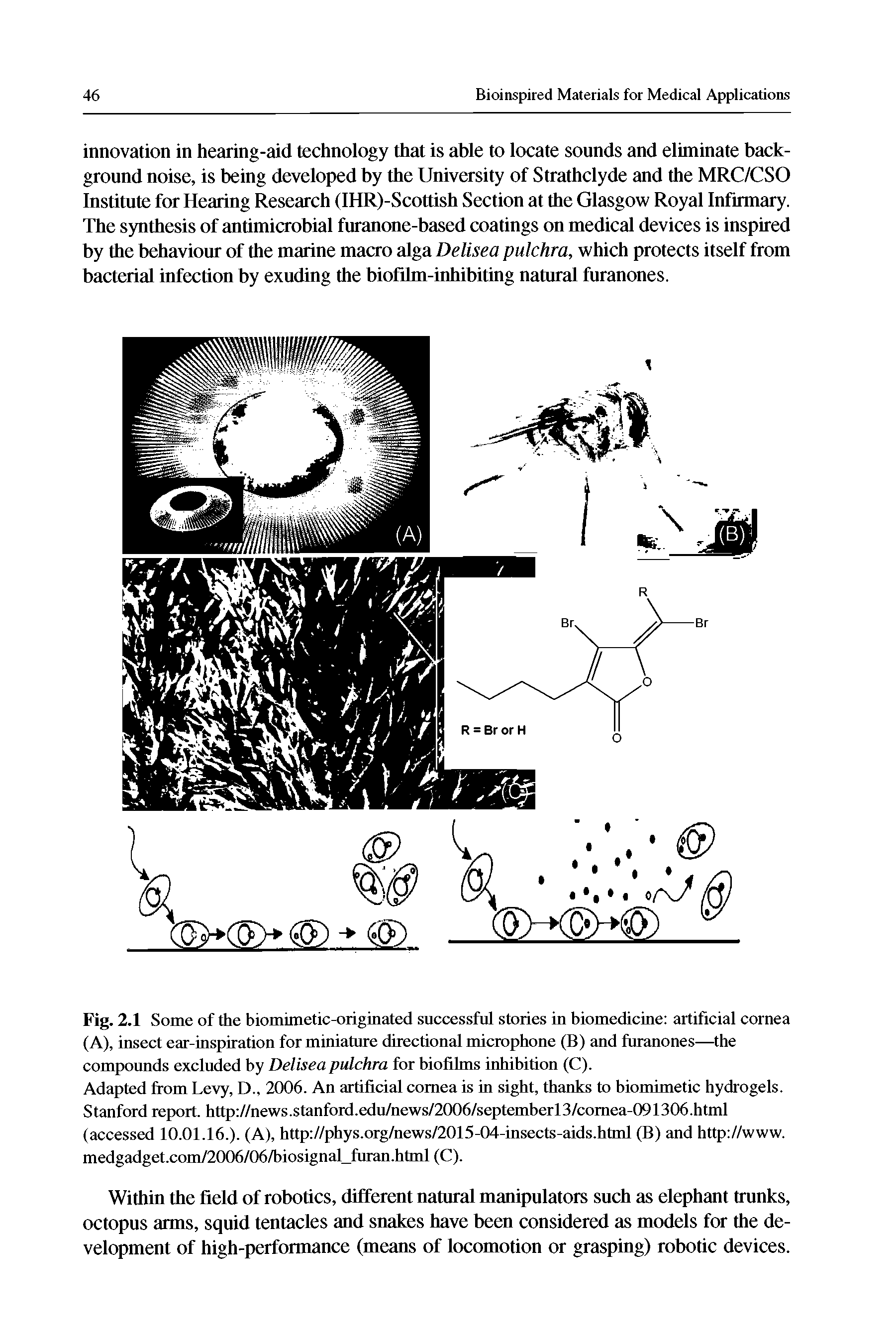 Fig. 2.1 Some of the biomimetic-originated successful stories in biomedicine artificial cornea (A), insect ear-inspiration for miniature directional microphone (B) and furanones—the compounds excluded by Delisea pulchra for biofilms inhibition (C).