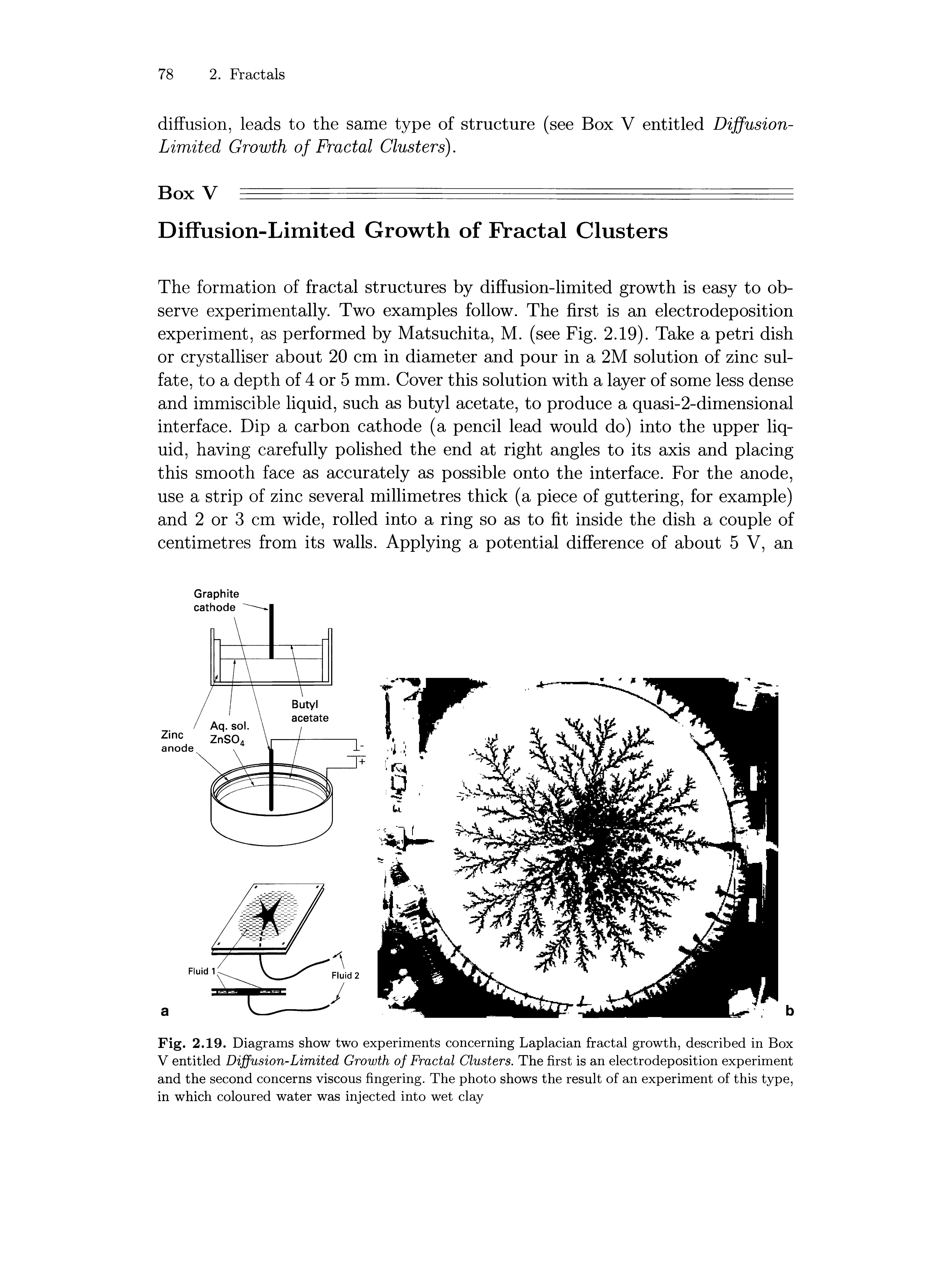 Fig. 2.19. Diagrams show two experiments concerning Laplacian fractal growth, described in Box V entitled Diffusion-Limited Growth of Fractal Clusters. The first is an electrodeposition experiment and the second concerns viscous fingering. The photo shows the result of an experiment of this type, in which coloured water was injected into wet clay...