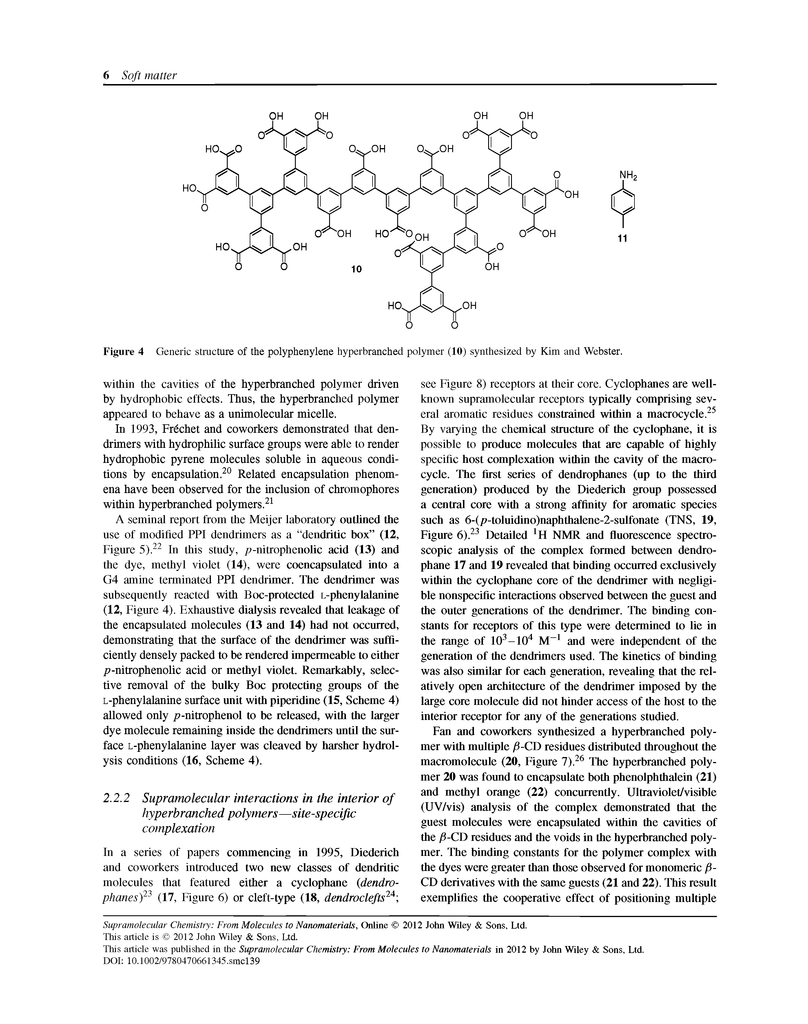 Figure 4 Generic structure of the polyphenylene hyperbranched polymer (10) synthesized by Kim and Webster.