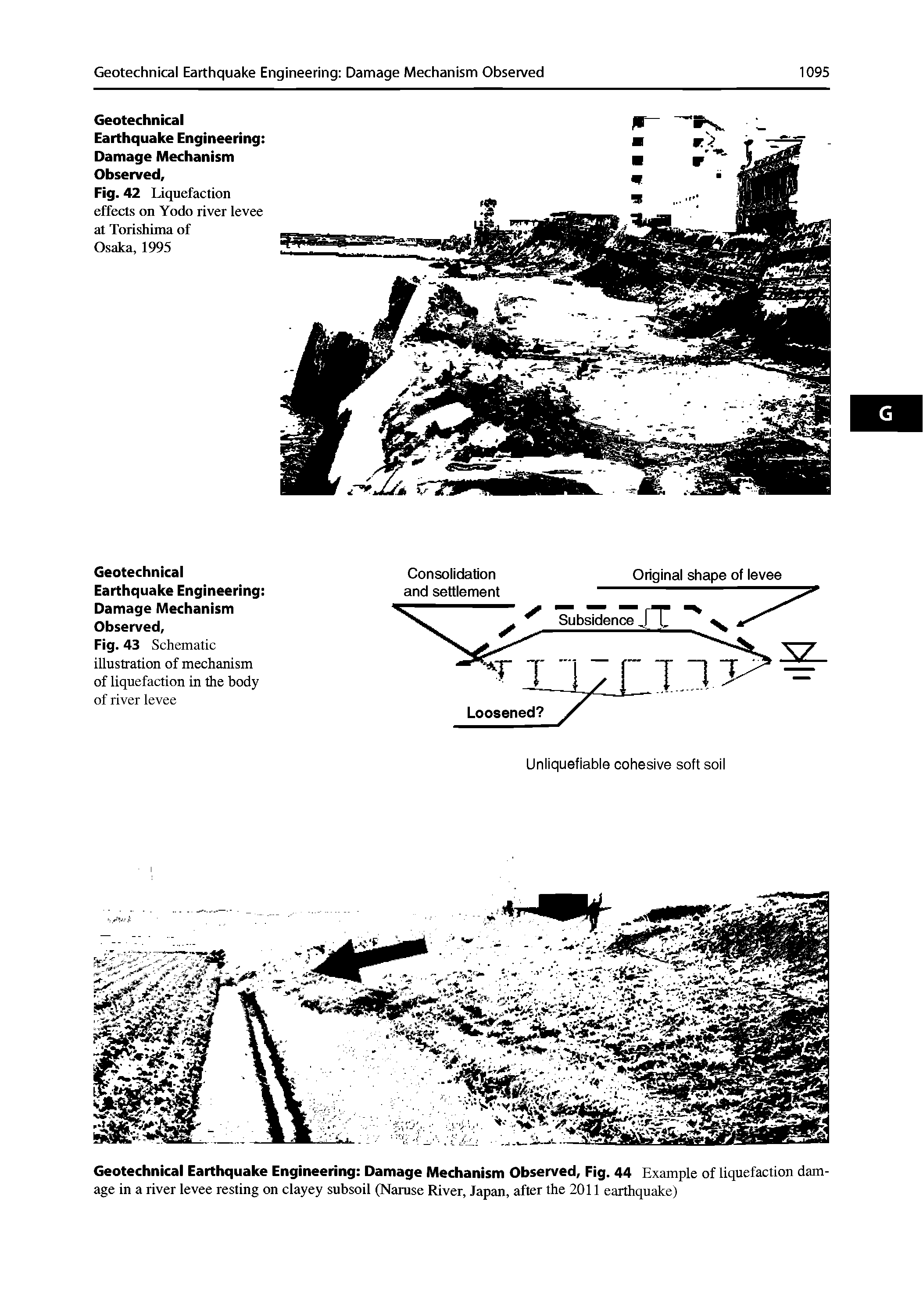 Fig. 42 Liquefaction effects on Yodo river levee at Torishima of Osaka, 1995...