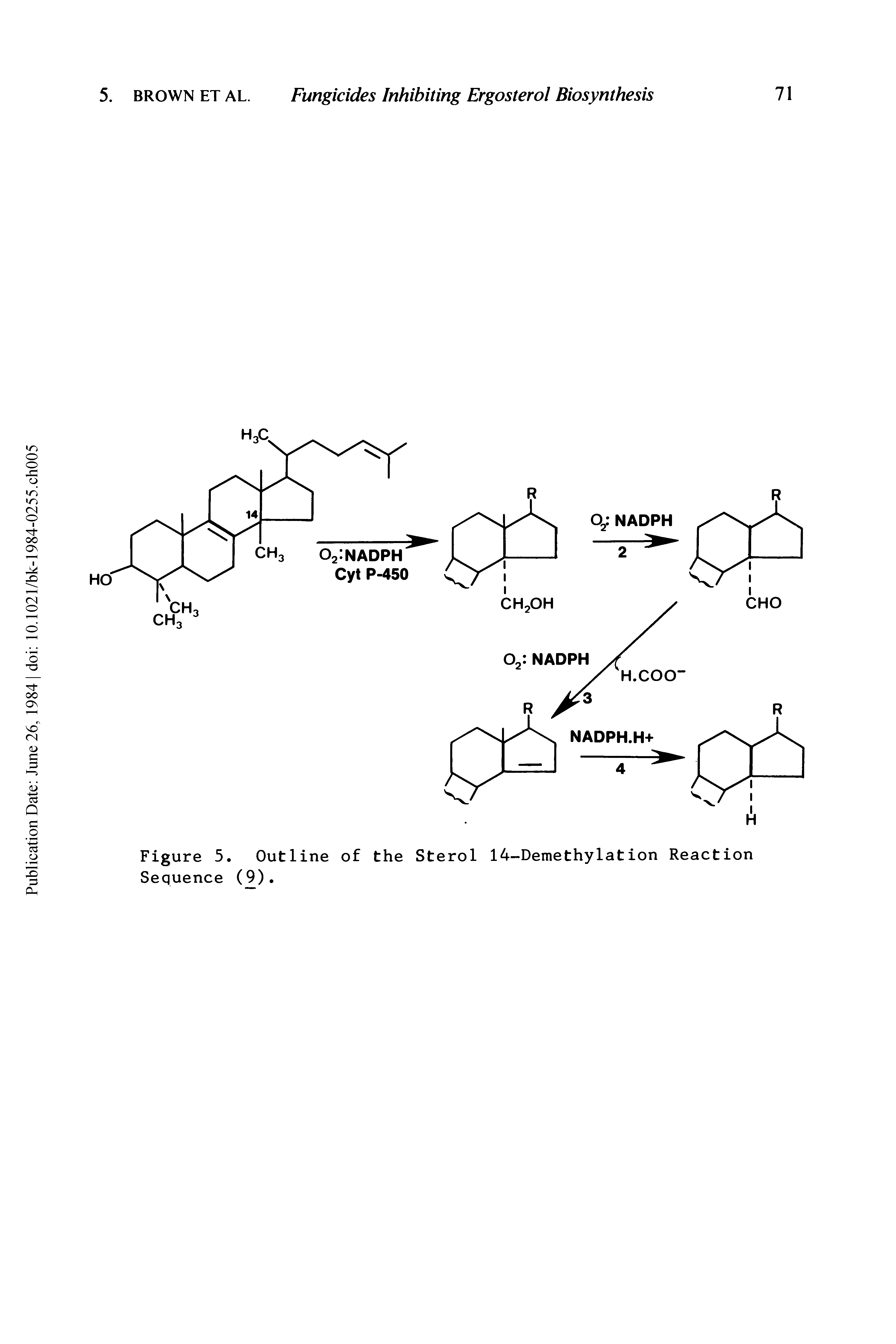 Figure 5. Outline of the Sterol 14 Demethylation Reaction Sequence (9).
