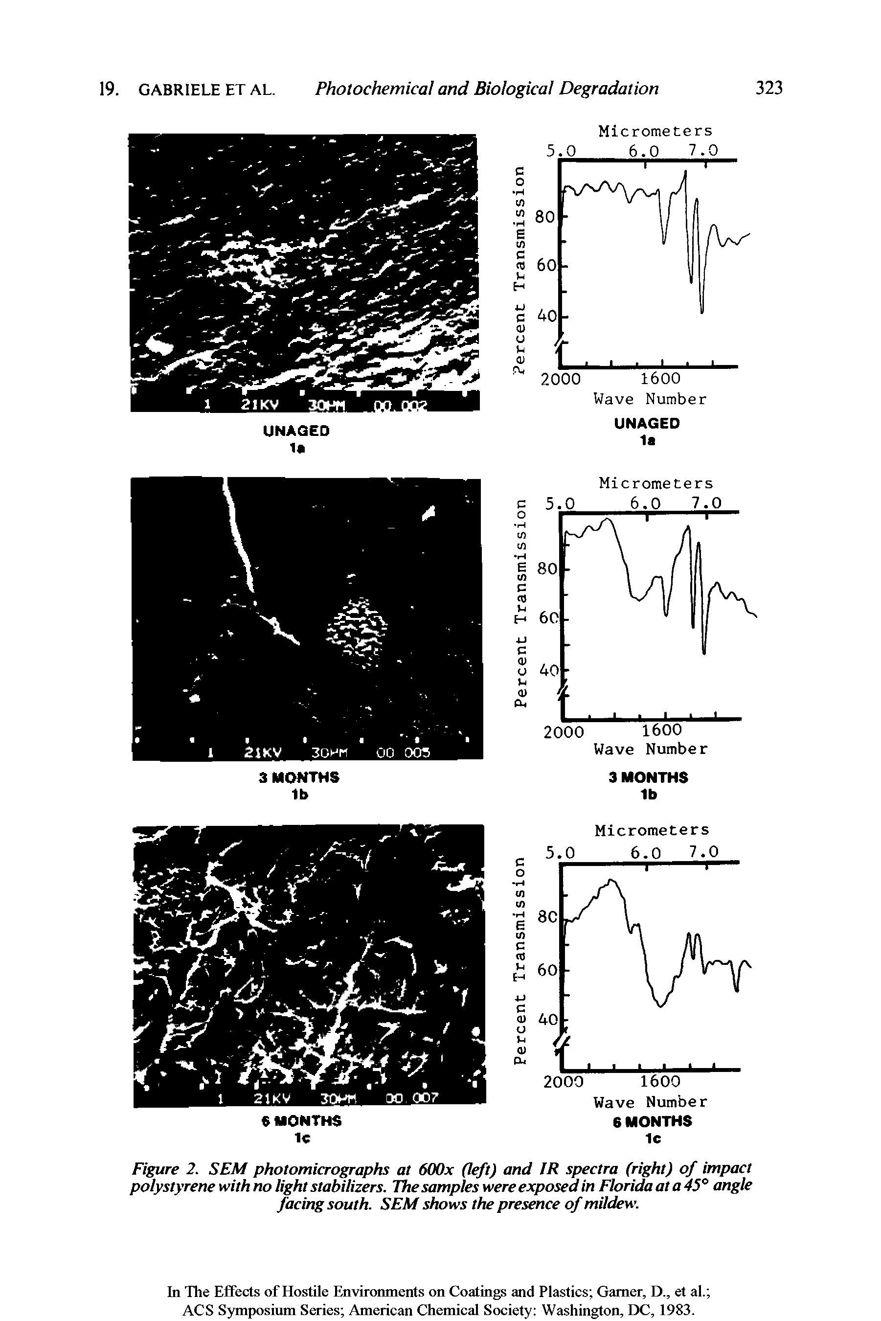 Figure 2. SEM photomicrographs at 600x (left) and IR spectra (right) of impact polystyrene with no light stabilizers. The samples were exposed in Florida at a 45° angle...