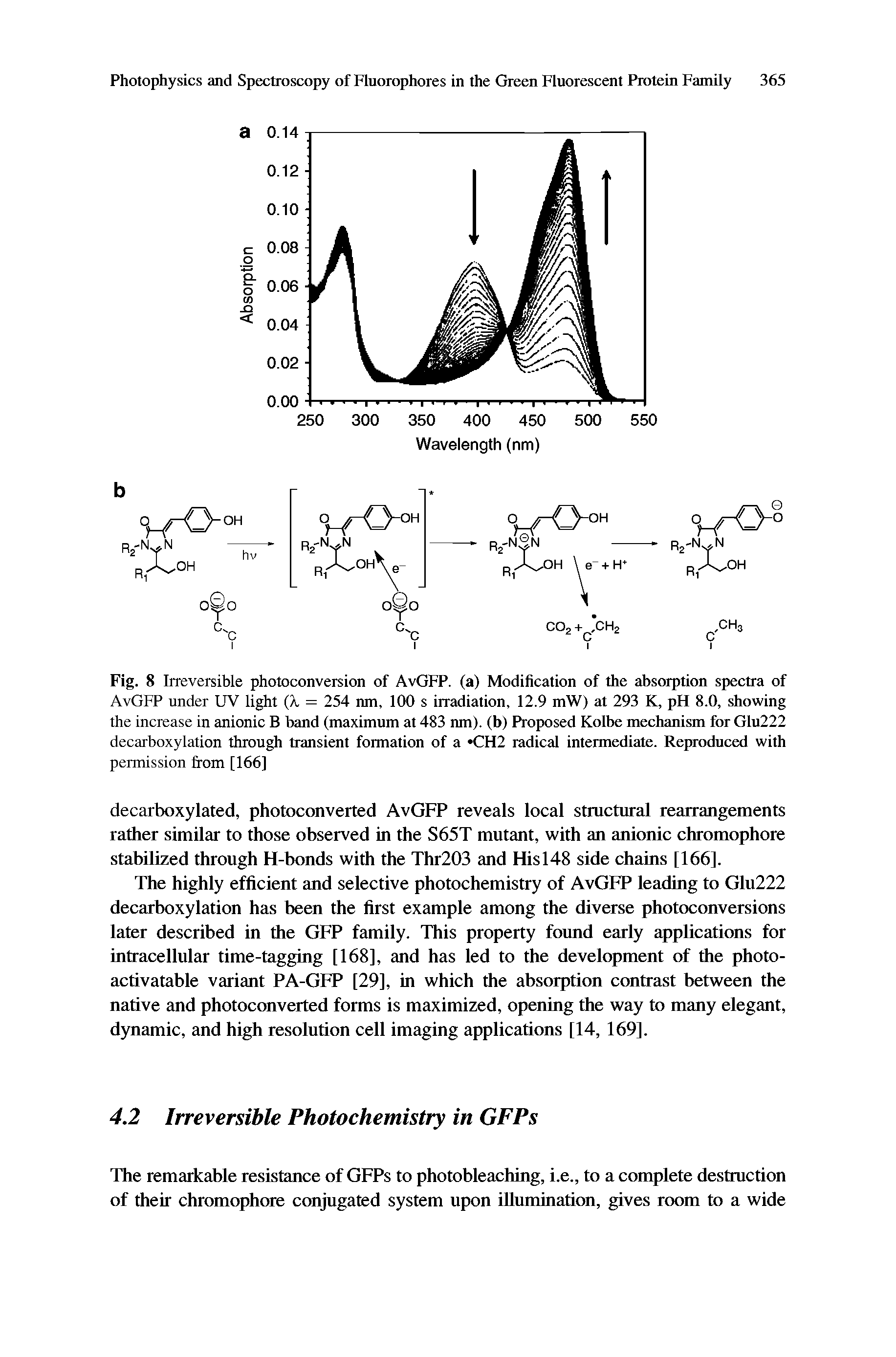 Fig. 8 Irreversible photoconversion of AvGFP. (a) Modification of the absorption spectra of AvGFP under UV light (A = 254 nm, 100 s irradiation, 12.9 mW) at 293 K, pH 8.0, showing the increase in anionic B band (maximum at 483 nm). (b) Proposed Kolbe mechanism for Glu222 decarboxylation through transient formation of a CH2 radical intermediate. Reproduced with permission from [166]...