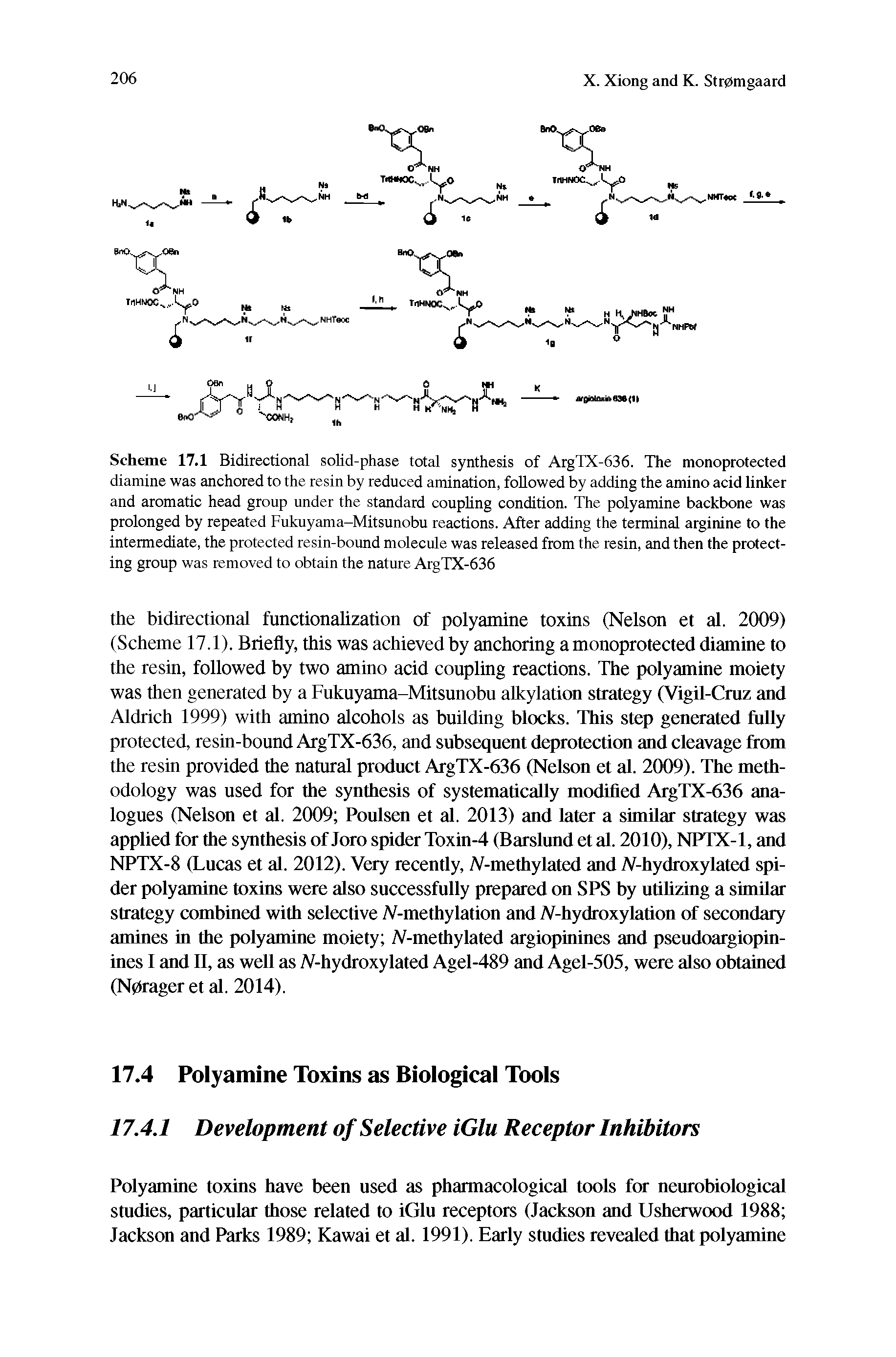 Scheme 17.1 Bidirectional solid-phase total synthesis of AigTX-636. The monoprotected diamine was anchored to the resin by reduced amination, followed by adding the amino acid linker and aromatic head group under the standard coupling condition. The polyamine backbone was prolonged by repeated Fukuyama-Mitsunobu reactions. After adding the terminal arginine to the intermediate, the protected resin-bound molecule was released from the resin, and then the protecting group was removed to obtain the nature ArgTX-636...