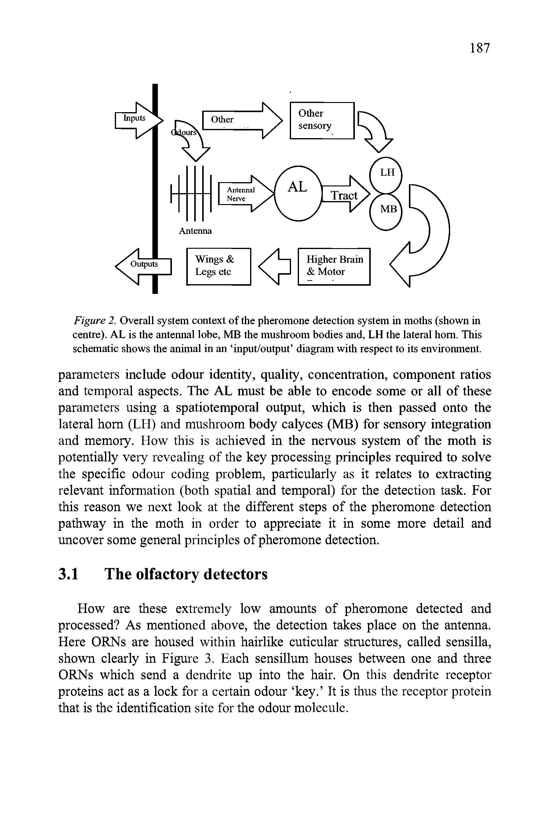 Figure 2. Overall system context of the pheromone detection system in moths (shown in centre). AL is the antennal lobe, MB the mushroom bodies and, LH the lateral horn. This schematic shows the animal in an input/output diagram with respect to its environment.