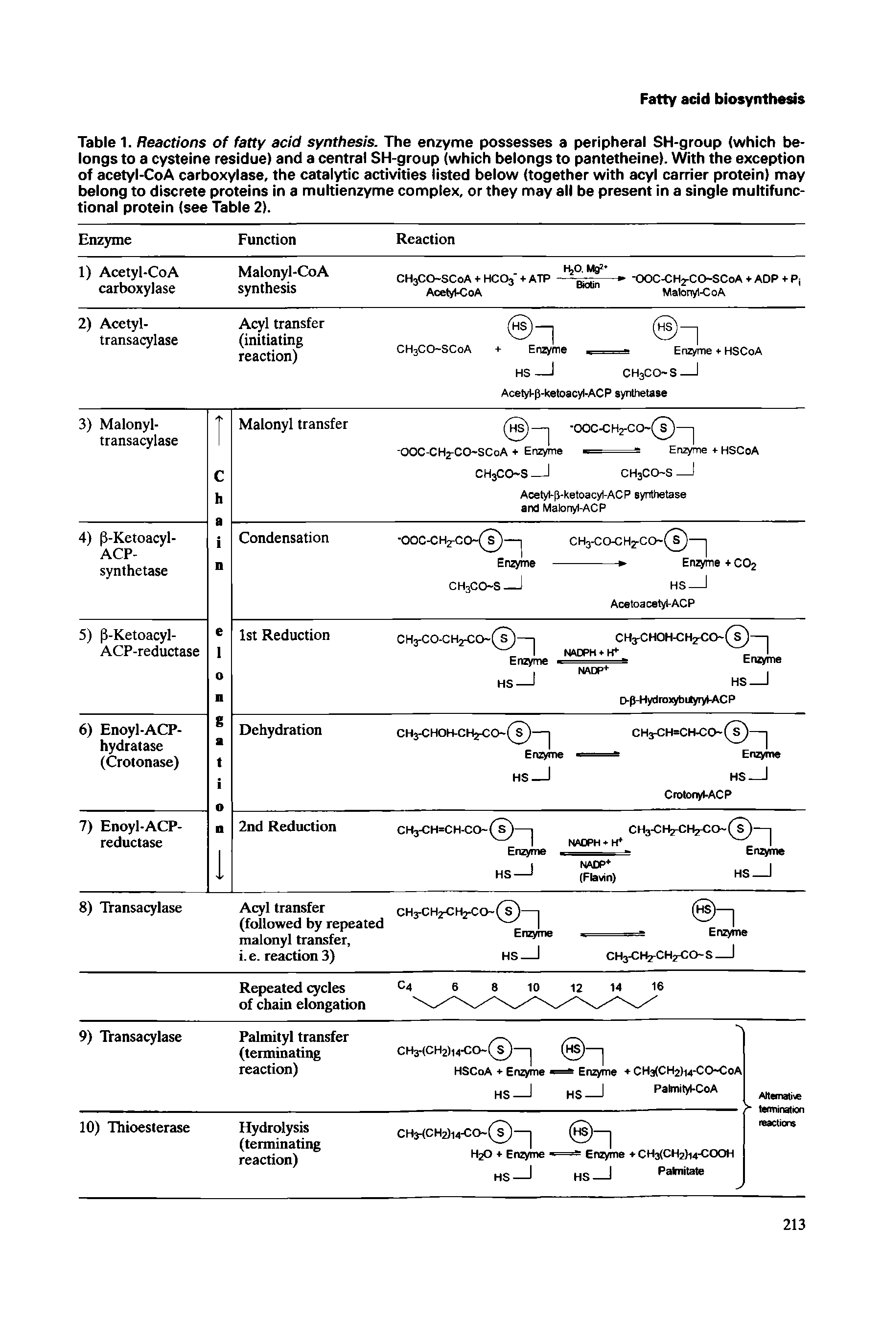 Table 1. Reactions of fatty acid synthesis. The enzyme possesses a peripheral SH-group (which belongs to a cysteine residue) and a central SH-group (which belongs to pantetheine). With the exception of acetyl-CoA carboxylase, the catalytic activities listed below (together with acyl carrier protein) may belong to discrete proteins in a multienzyme complex, or they may all be present in a single multifunctional protein (see Table 2).