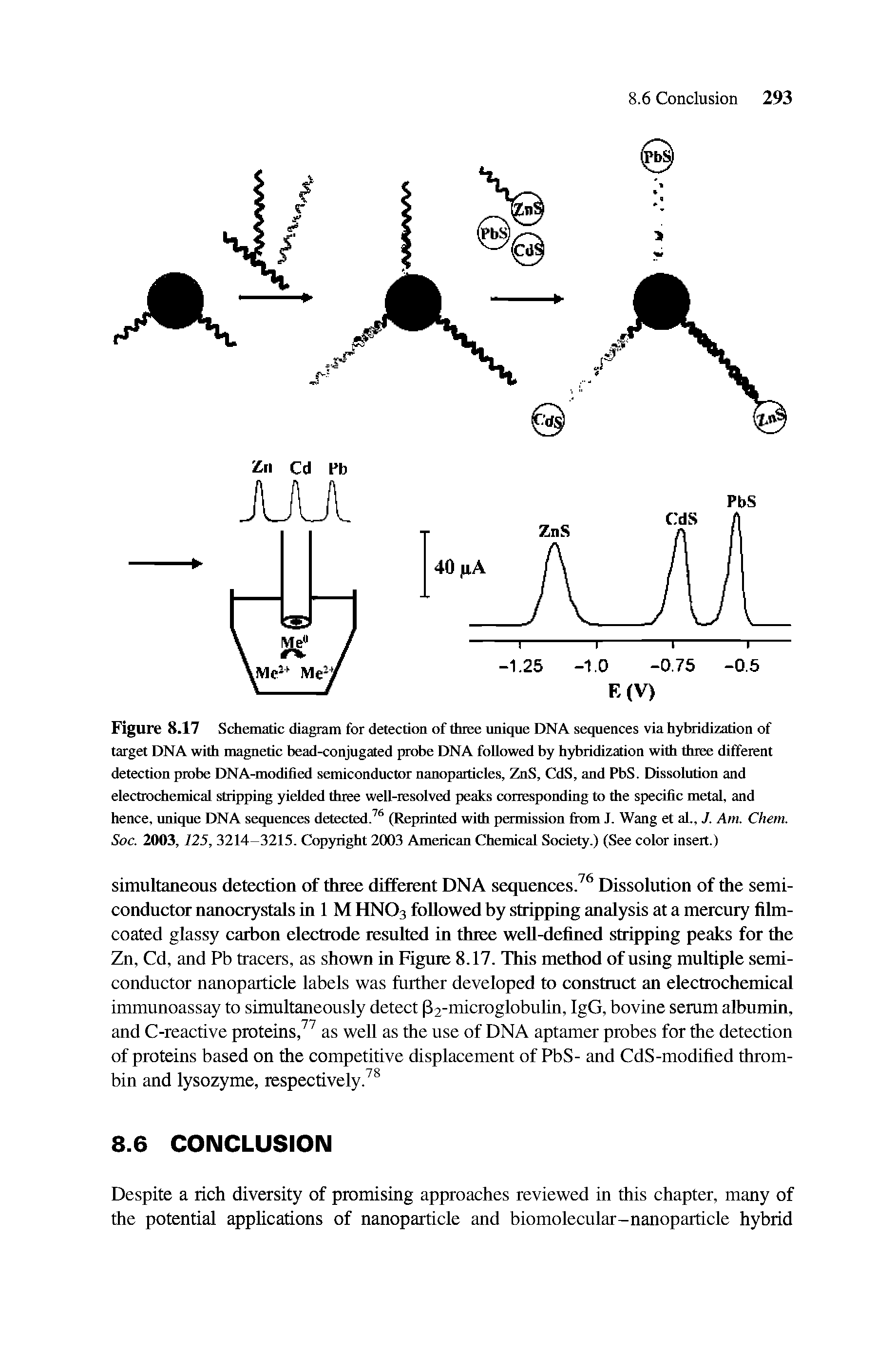 Figure 8.17 Schematic diagram for detection of three unique DNA sequences via hybridization of target DNA with magnetic bead-conjugated probe DNA followed by hybridization with three different detection probe DNA-modified semiconductor nanopaiticles, ZnS, CdS, and PbS. Dissolution and electrochemical stripping yielded three well-resolved peaks corresponding to the specific metal, and hence, unique DNA sequences detected.76 (Reprinted with permission from J. Wang et aL, J. Am. Chem. Soc. 2003,125, 3214-3215. Copyright 2003 American Chemical Society.) (See color insert.)...