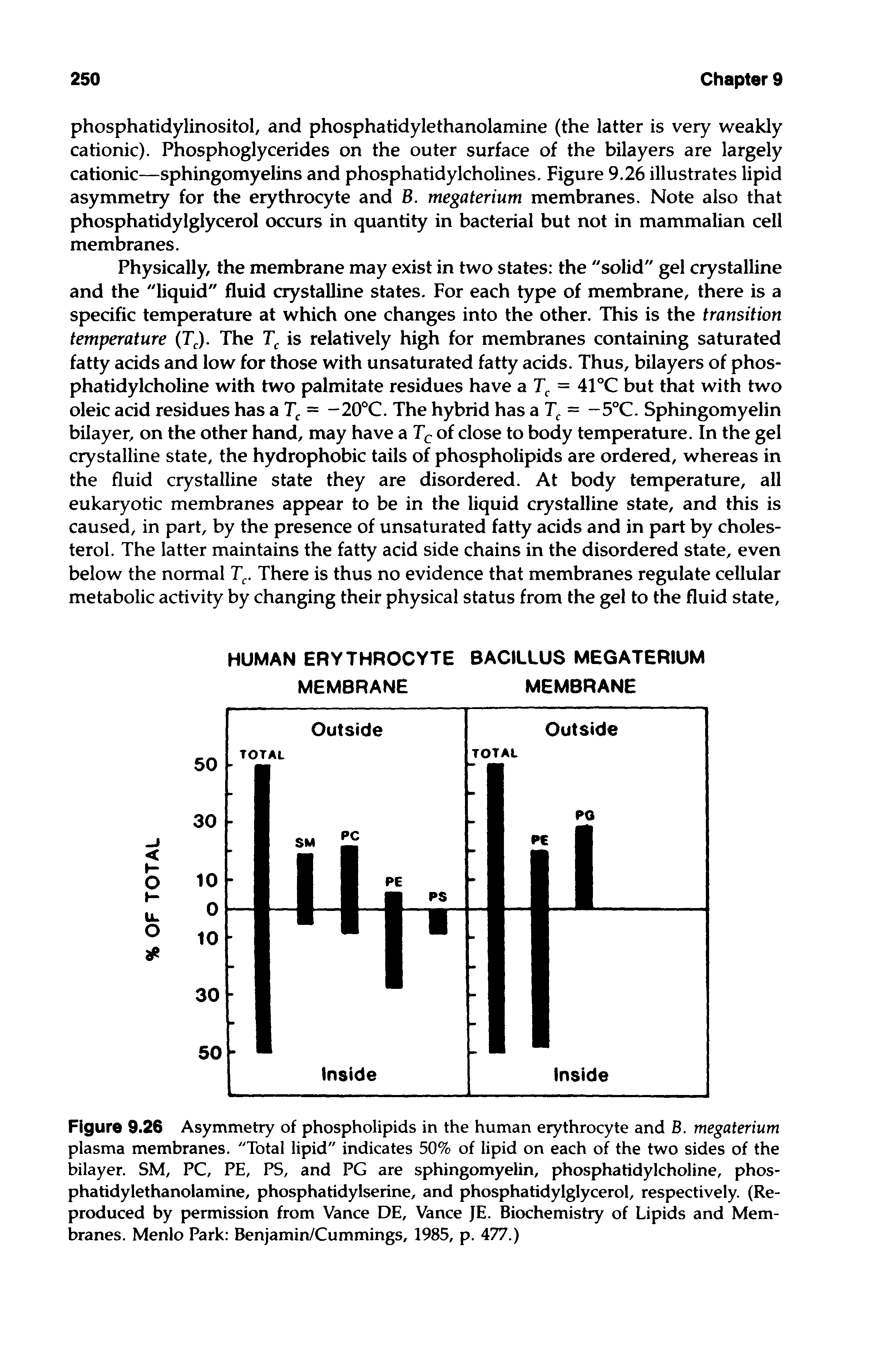 Figure 9.26 Asymmetry of phospholipids in the human erythrocyte and B. megaterium plasma membranes. "Total lipid" indicates 50% of lipid on each of the two sides of the bilayer. SM, PC, PE, PS, and PG are sphingomyelin, phosphatidylcholine, phosphatidylethanolamine, phosphatidylserine, and phosphatidylglycerol, respectively. (Reproduced by permission from Vance DE, Vance JE. Biochemistry of Lipids and Membranes. Menlo Park Benjamin/Cummings, 1985, p. 477.)...