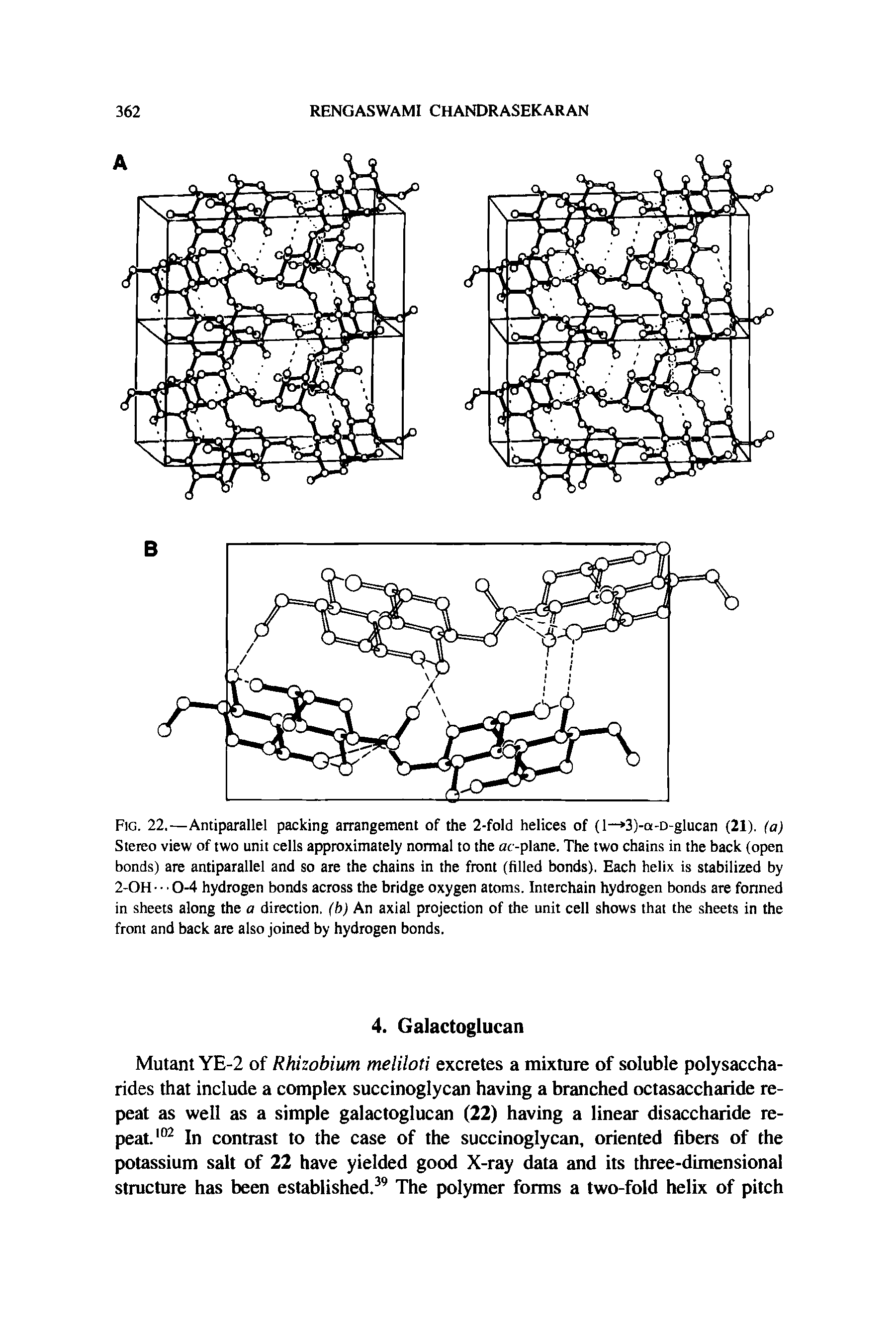Fig. 22.—Antiparallel packing arrangement of the 2-fold helices of (1— 3)-a-D-glucan (21). (a) Stereo view of two unit cells approximately normal to the aoplane. The two chains in the back (open bonds) are antiparallel and so are the chains in the front (filled bonds). Each helix is stabilized by 2-OH 0-4 hydrogen bonds across the bridge oxygen atoms. Interchain hydrogen bonds are formed in sheets along the a direction, (b) An axial projection of the unit cell shows that the sheets in the front and back are also joined by hydrogen bonds.