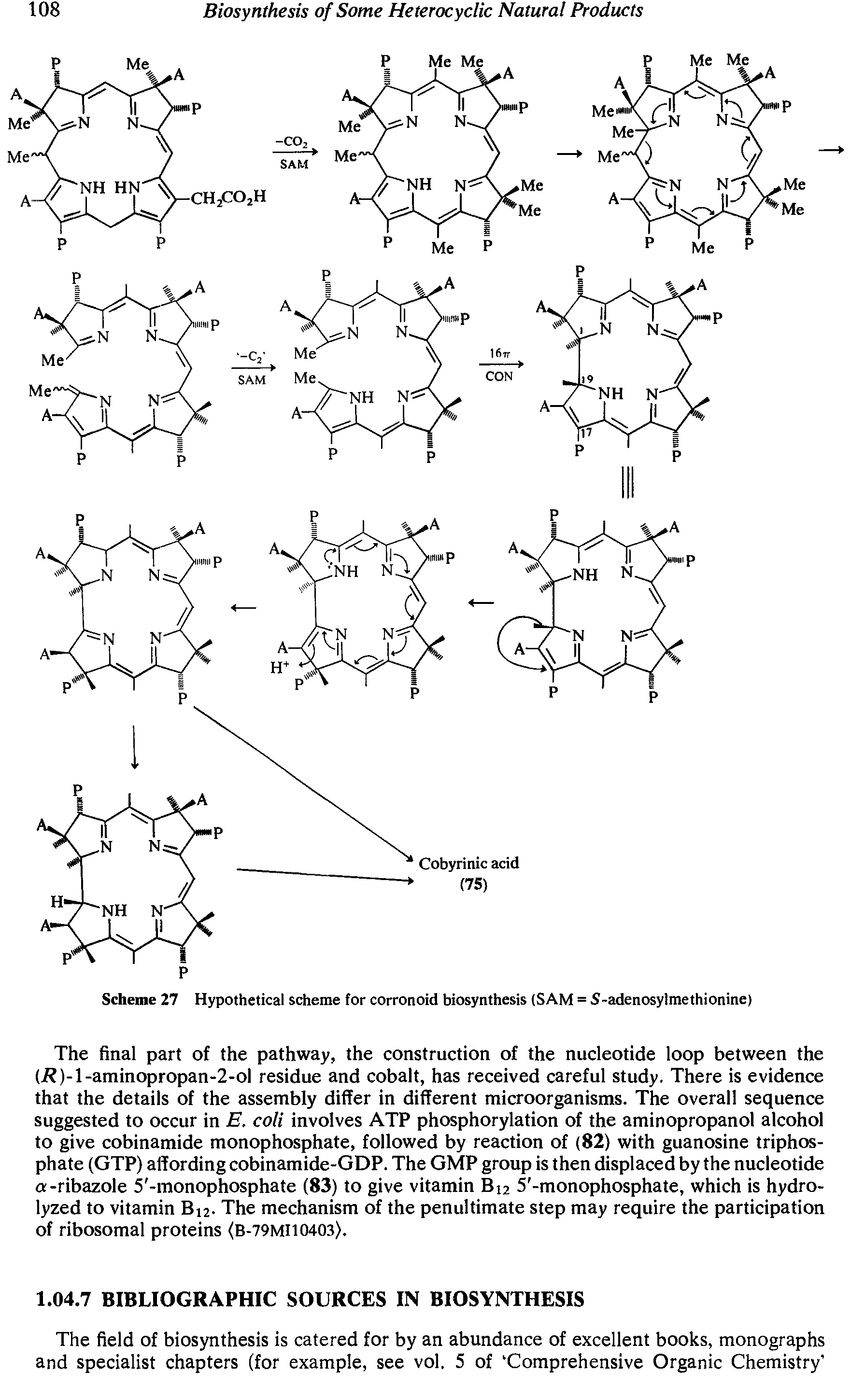 Scheme 27 Hypothetical scheme for corronoid biosynthesis (SAM = S-adenosylmethionine)...