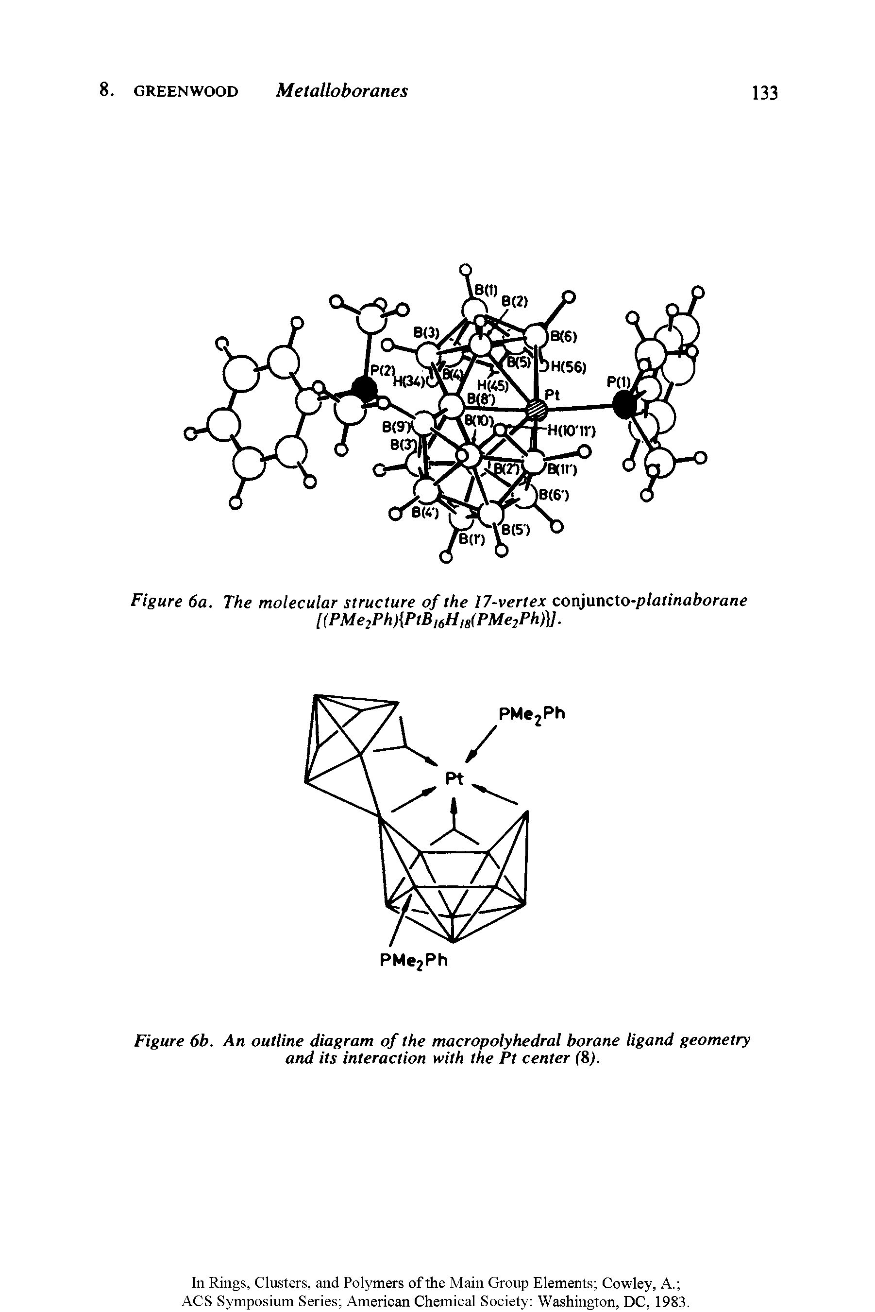 Figure 6b. An outline diagram of the macropolyhedral borane ligand geometry and its interaction with the Pt center C8j.
