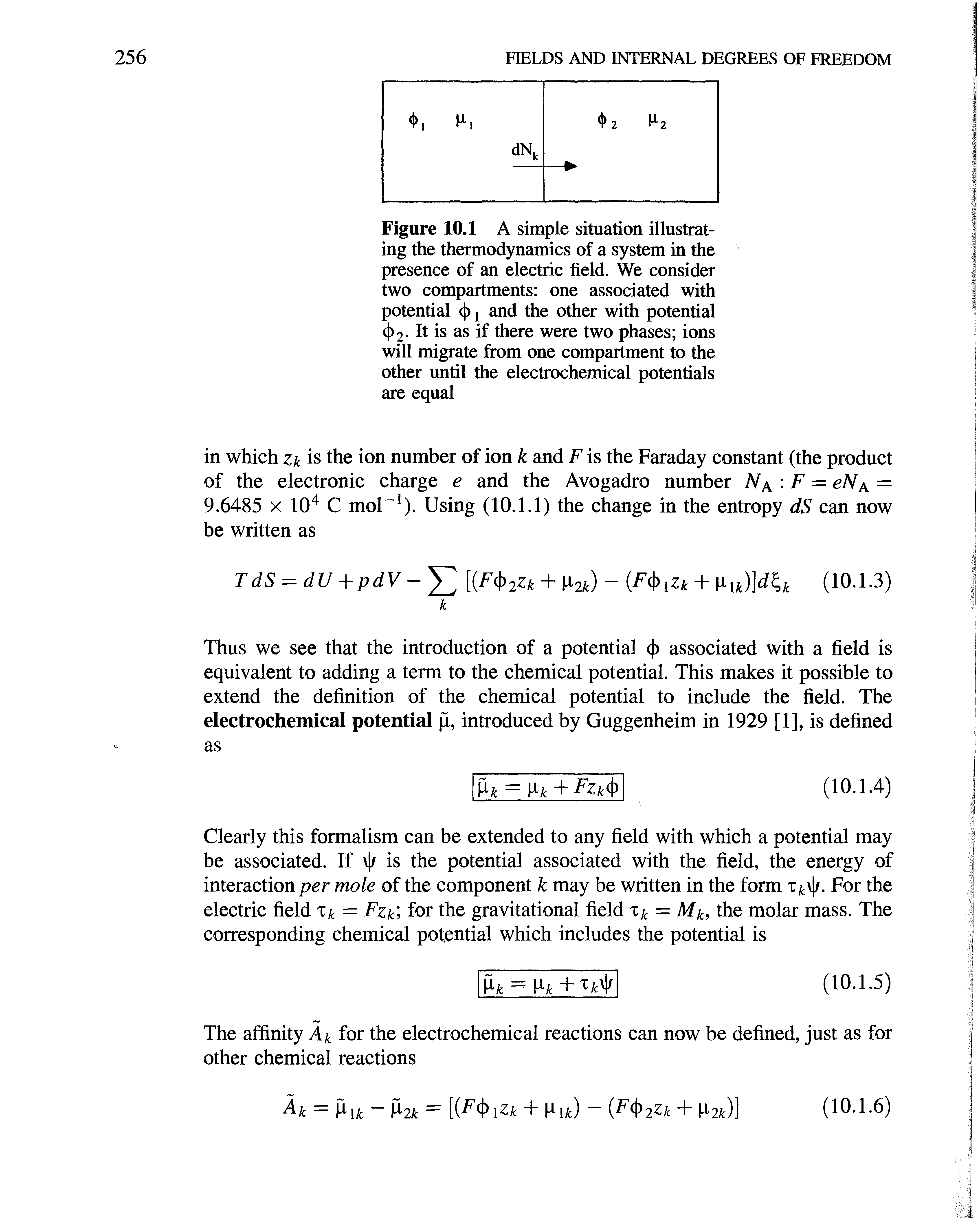 Figure 10.1 A simple situation illustrating the thermodynamics of a system in the presence of an electric field. We consider two compartments one associated with potential and the other with potential ( 2- It is as if there were two phases ions will migrate from one compartment to the other until the electrochemical potentials are equal...