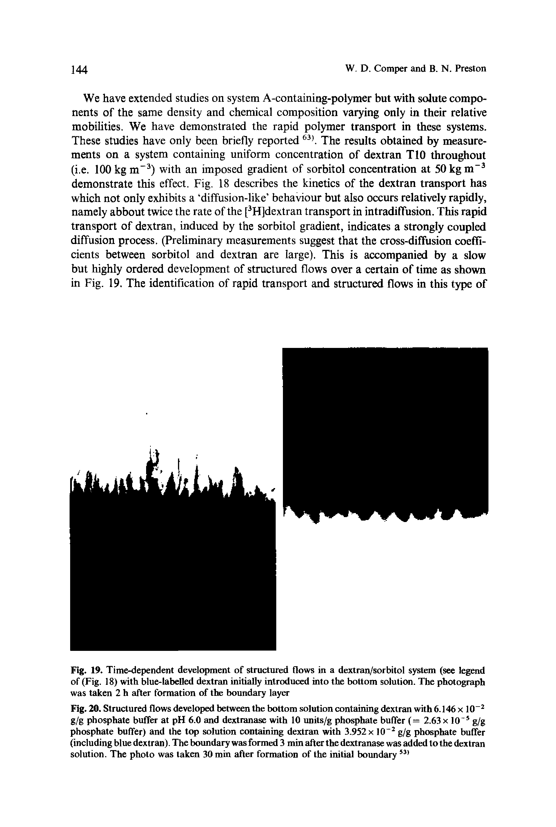 Fig. 19. Time-dependent development of structured flows in a dextran/sorbitol system (see legend of (Fig. 18) with blue-labelled dextran initially introduced into the bottom solution. The photograph was taken 2 h after formation of the boundary layer...