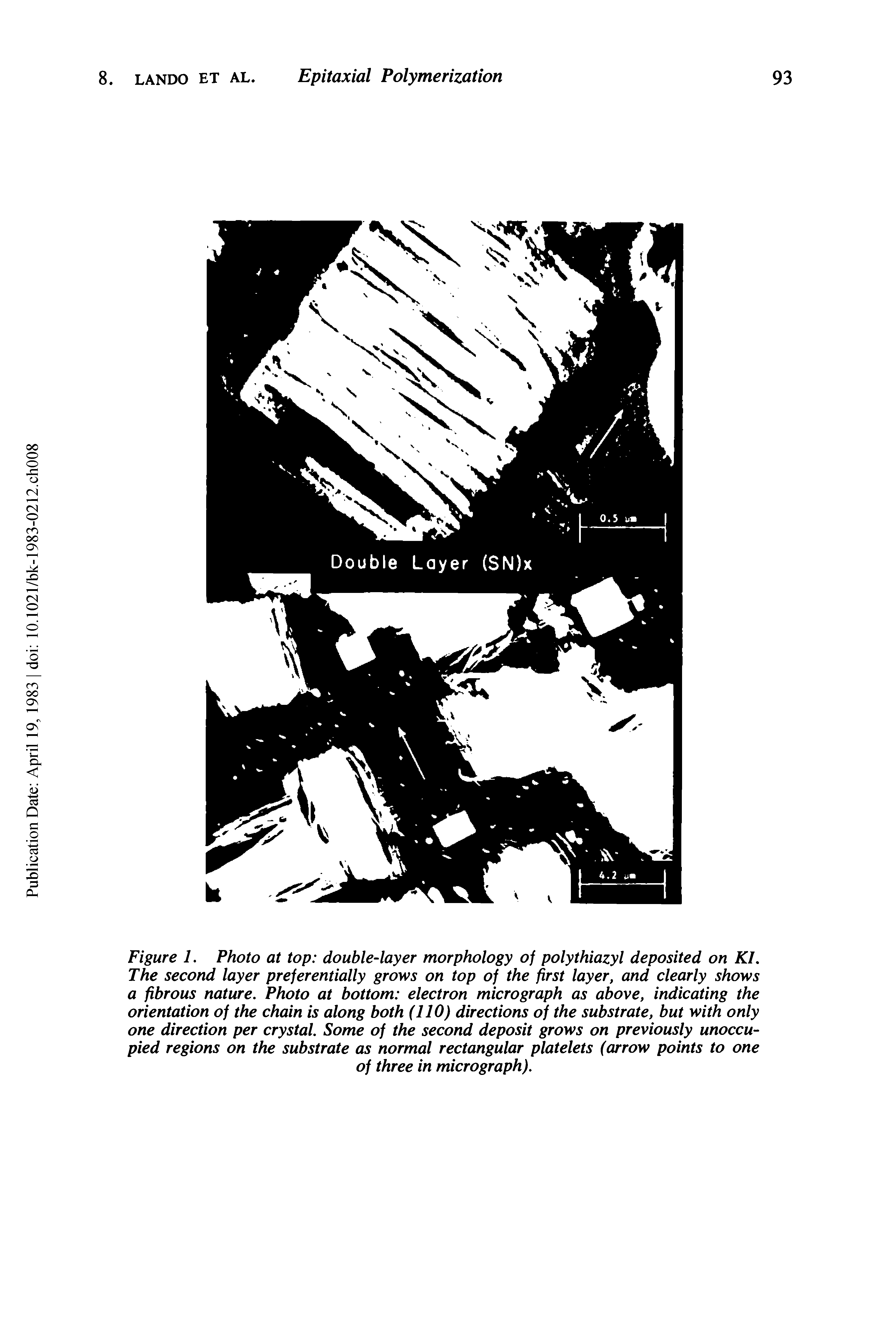 Figure 1. Photo at top double-layer morphology of polythiazyl deposited on KI. The second layer preferentially grows on top of the first layer, and clearly shows a fibrous nature. Photo at bottom electron micrograph as above, indicating the orientation of the chain is along both (110) directions of the substrate, but with only one direction per crystal. Some of the second deposit grows on previously unoccupied regions on the substrate as normal rectangular platelets (arrow points to one...