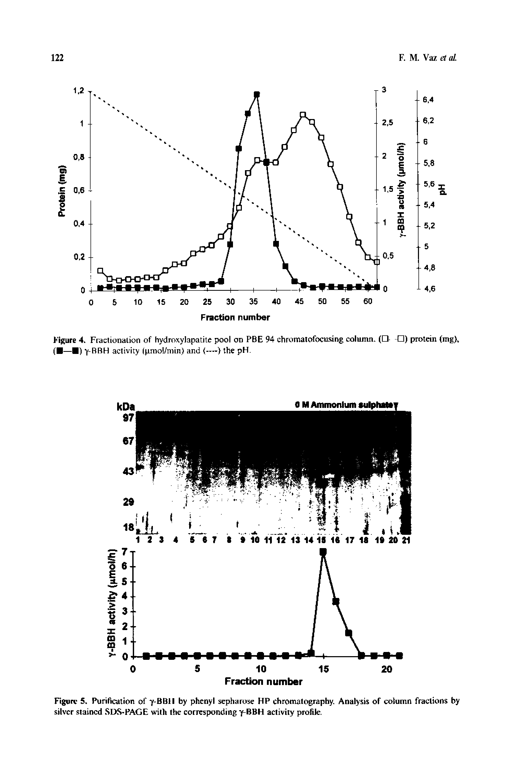 Figure 5. PuriHcation of y-BBlI by phenyi sepharose HP chromatography. Anaiysis of column fractions by silver stained SDS-PAGE with the corresponding y-BBH activity profile.