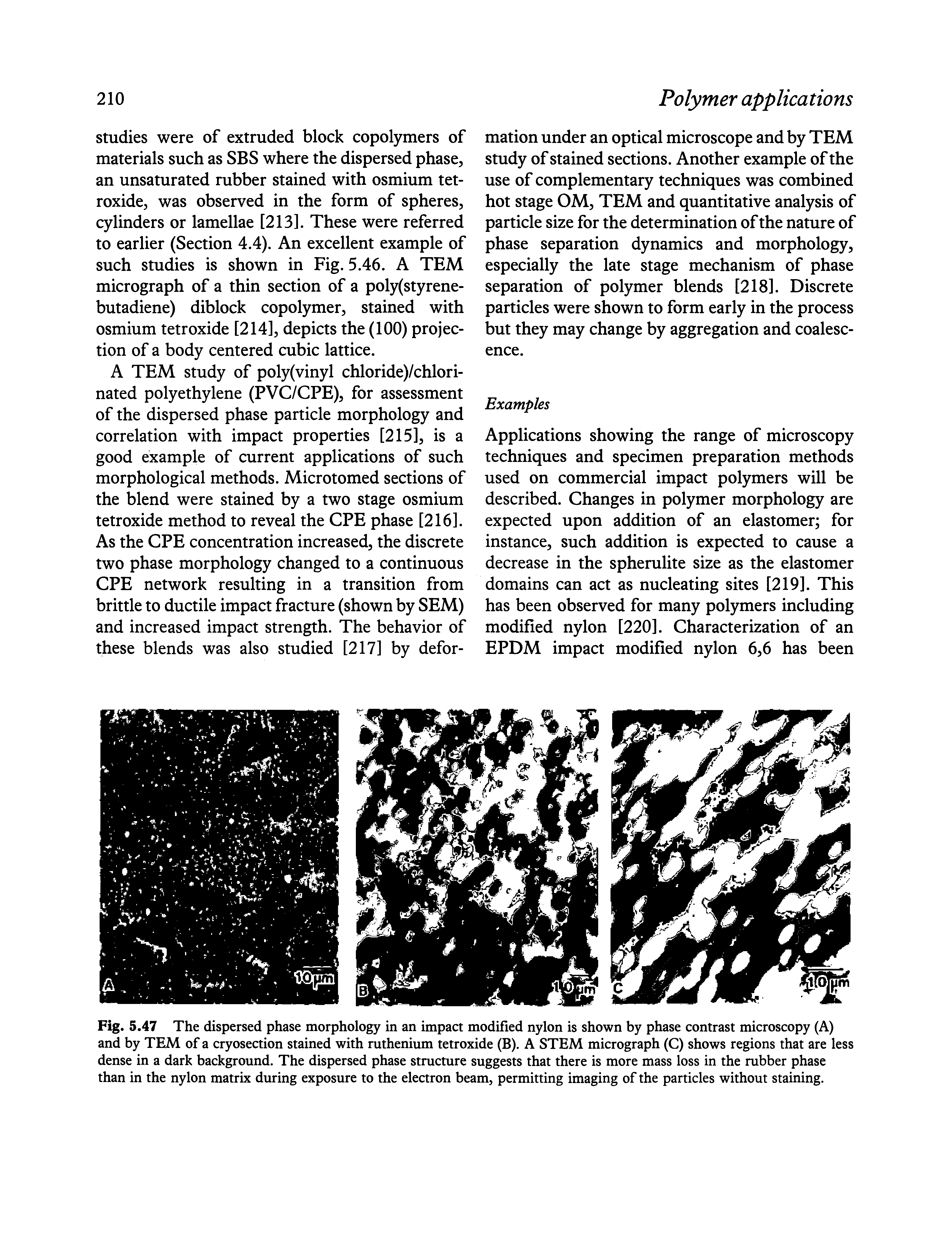 Fig. 5.47 The dispersed phase morphology in an impact modified nylon is shown by phase contrast microscopy (A) and by TEM of a cryosection stained with ruthenium tetroxide (B). A STEM micrograph (C) shows regions that are less dense in a dark background. The dispersed phase structure suggests that there is more mass loss in the rubber phase than in the nylon matrix during exposure to the electron beam, permitting imaging of the particles without staining.