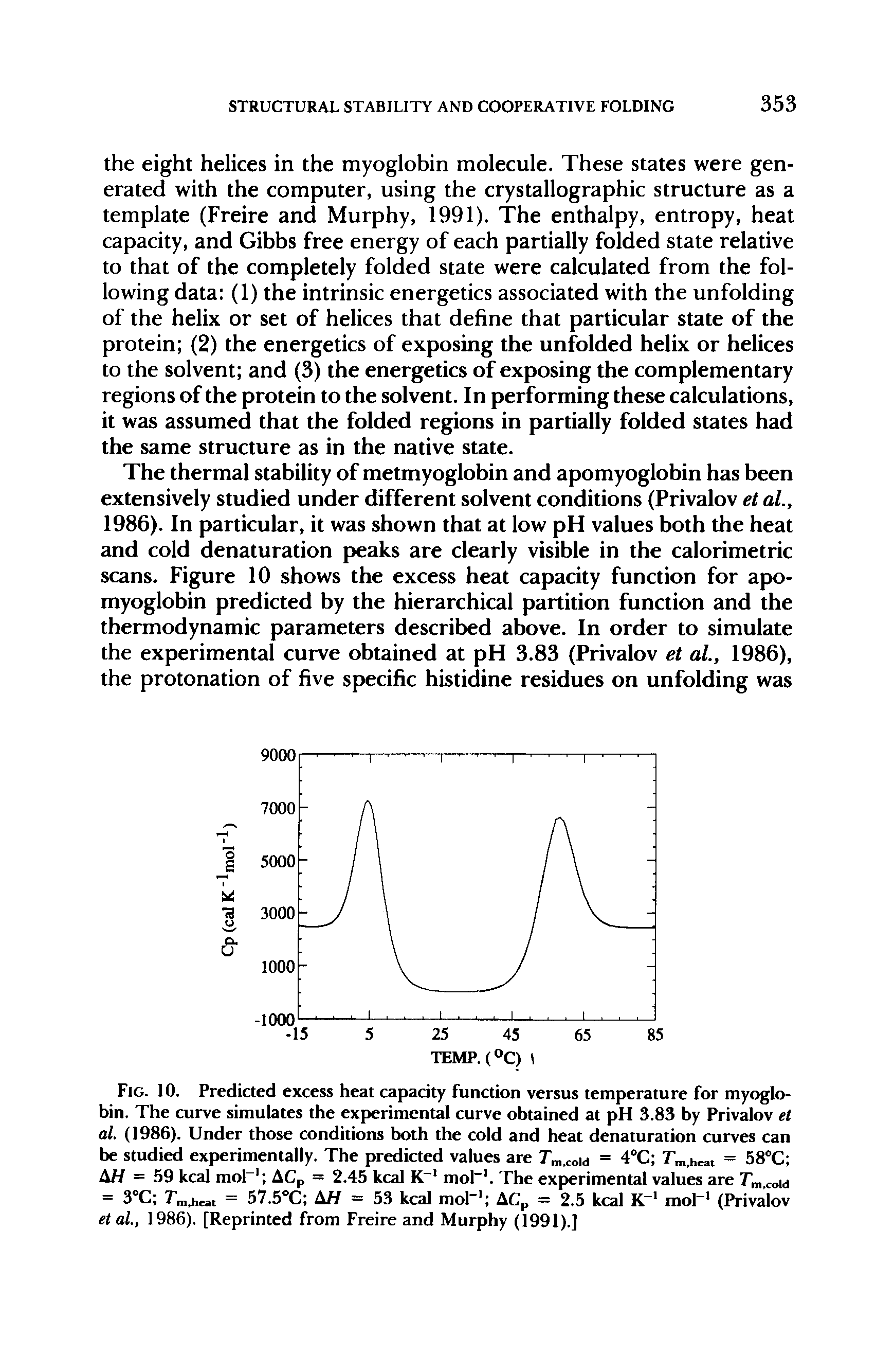 Fig. 10. Predicted excess heat capacity function versus temperature for myoglobin. The curve simulates the experimental curve obtained at pH 3.83 by Privalov et al. (1986). Under those conditions both the cold and heat denaturation curves can be studied experimentally. The predicted values are Tm,cold = 4°C Tm>heat = 58°C A// = 59 kcal mol-1 ACp = 2.45 kcal K-1 mol-1. The experimental values are Tm>coid = 3°C Tm>heat = 57.5°C AH = 53 kcal mol-1 ACP = 2.5 kcal K-1 mol-1 (Privalov et al., 1986). [Reprinted from Freire and Murphy (1991).]...